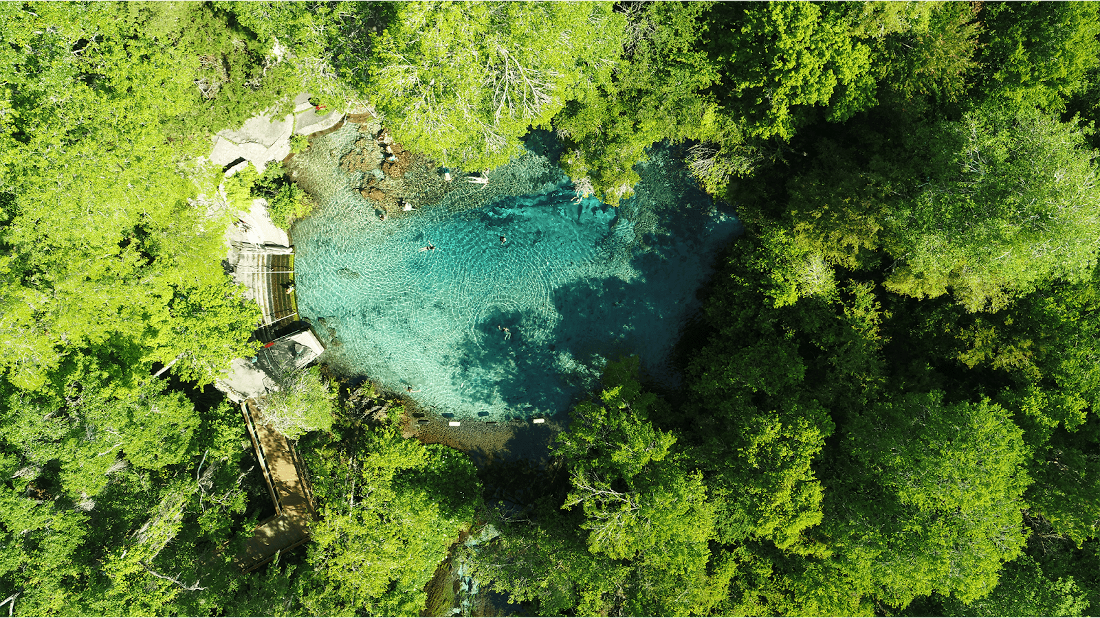 Ichetucknee South Entrance - Image 1