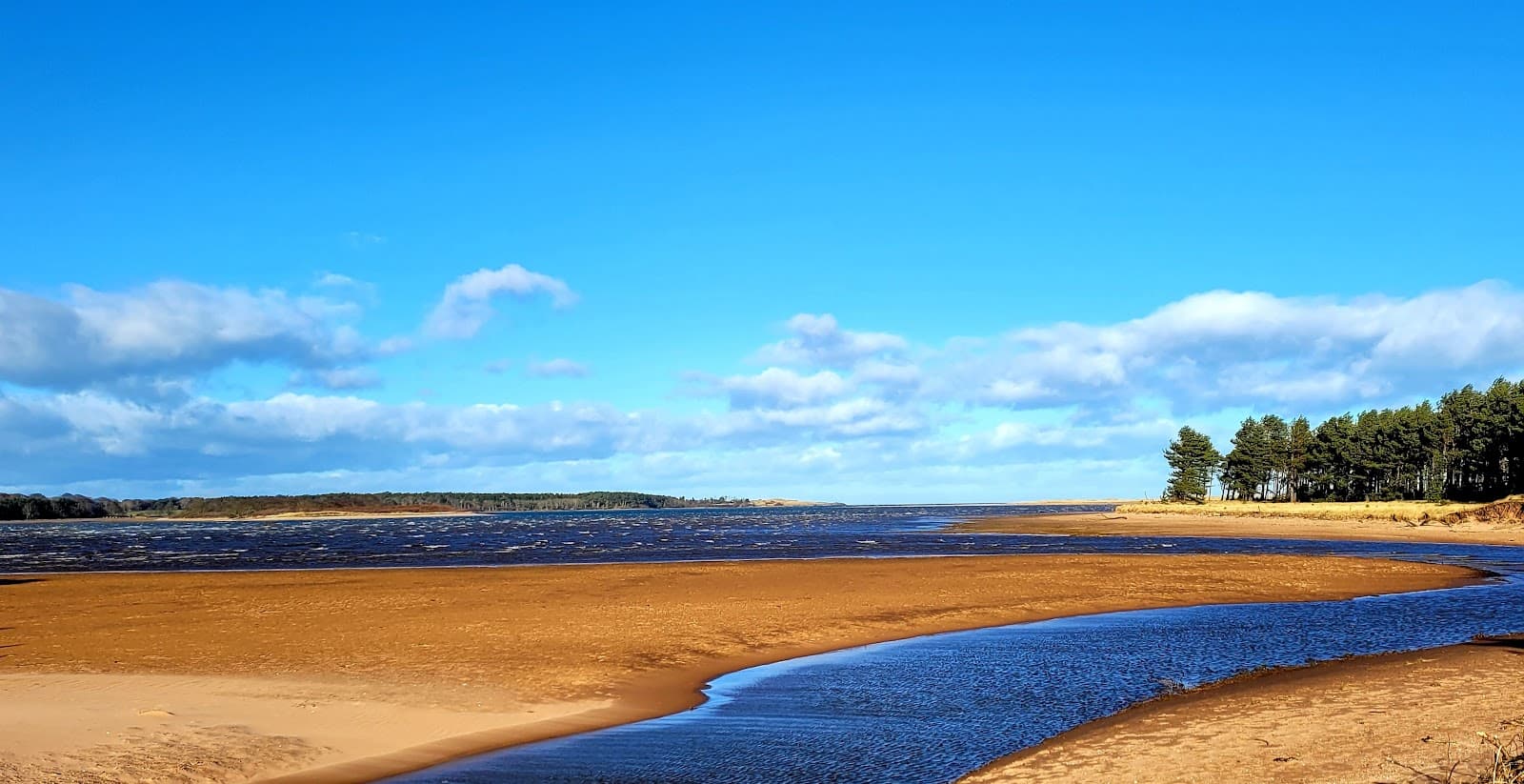 Belhaven Bay - Image 1