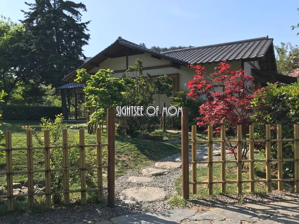 Tranquil Ponds and Waterfalls