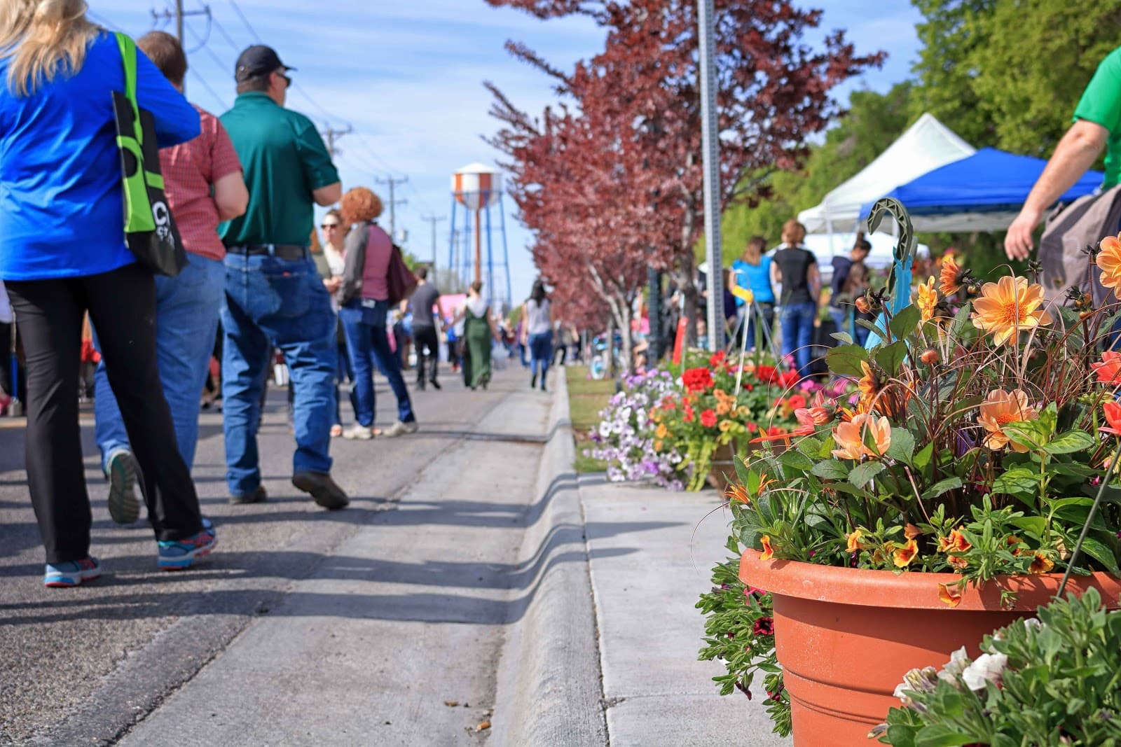 Historic Downtown Idaho Falls - Image 1