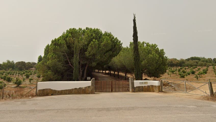 Bird Hides & Tower Quinta de Marim - Image 1