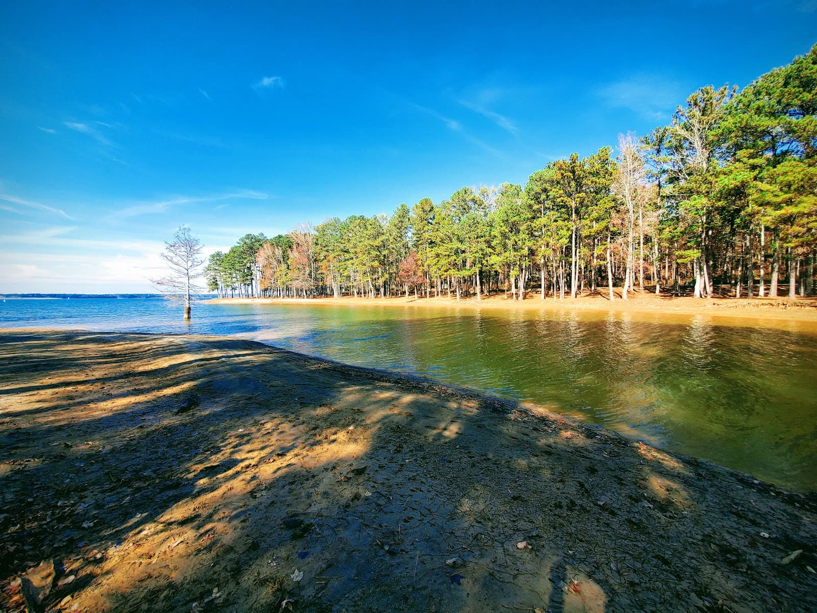 R. Shaefer Heard Park - Image 1