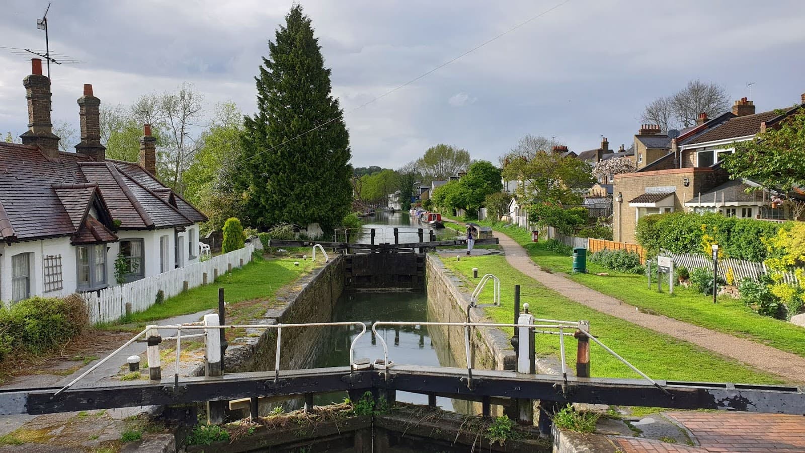 Frithsden Beeches - Image 1