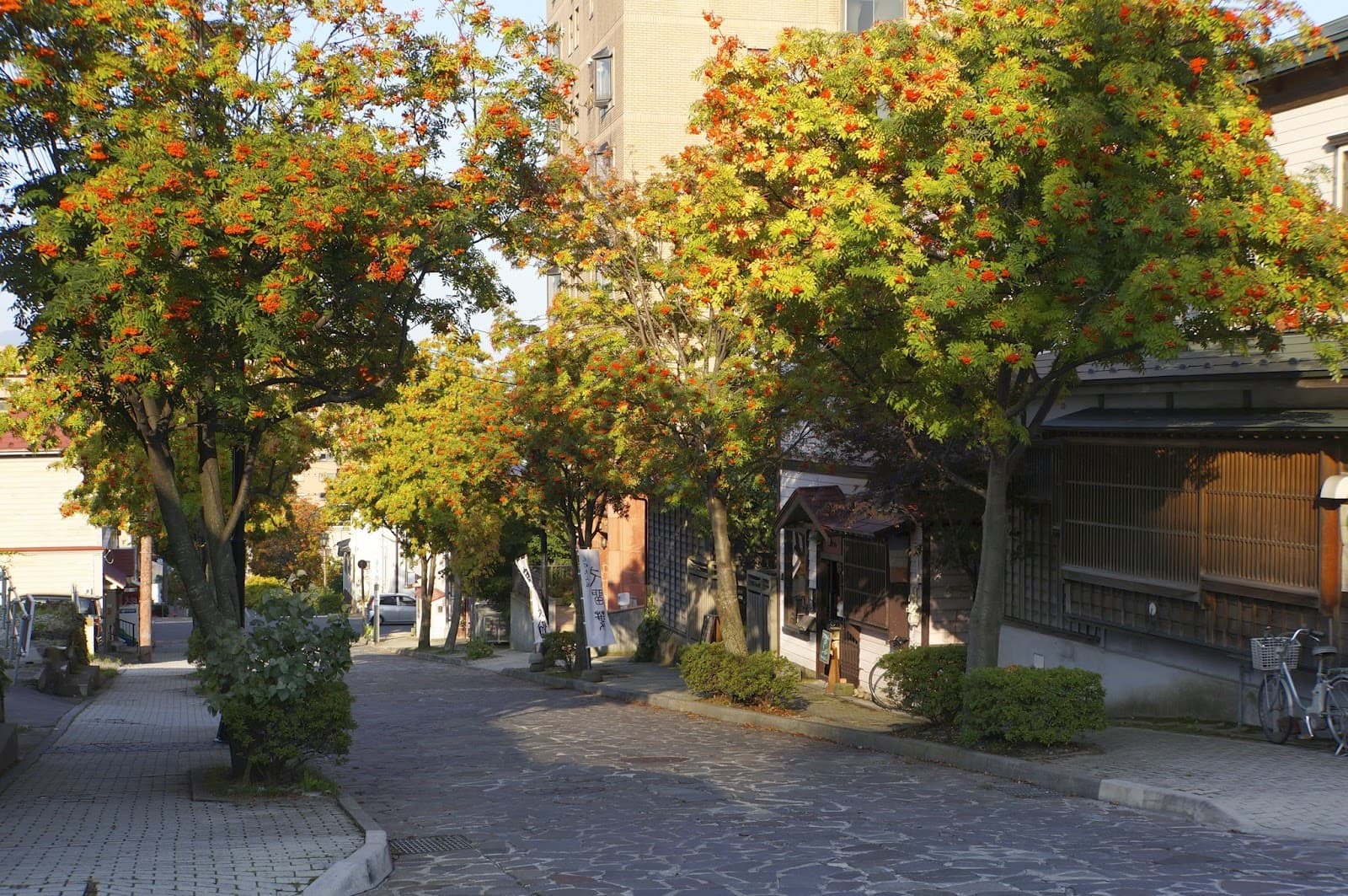Hachimanzaka Slope Hakodate - Image 1