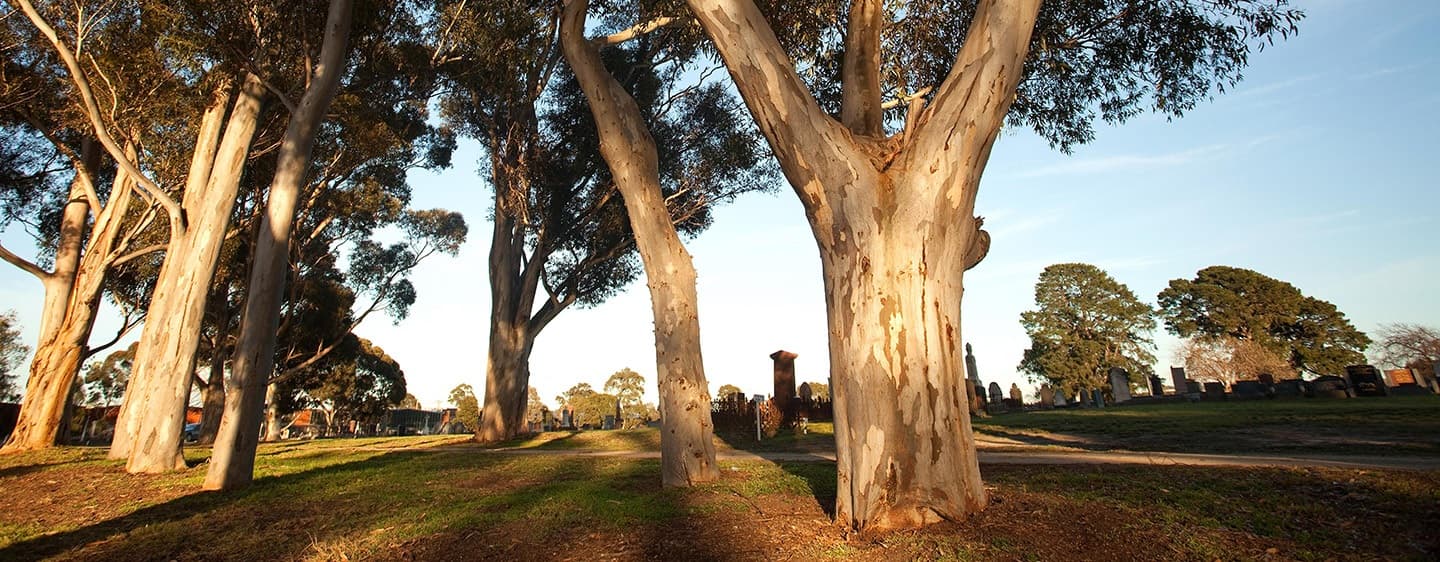 Dandenong Cemetery - Image 1