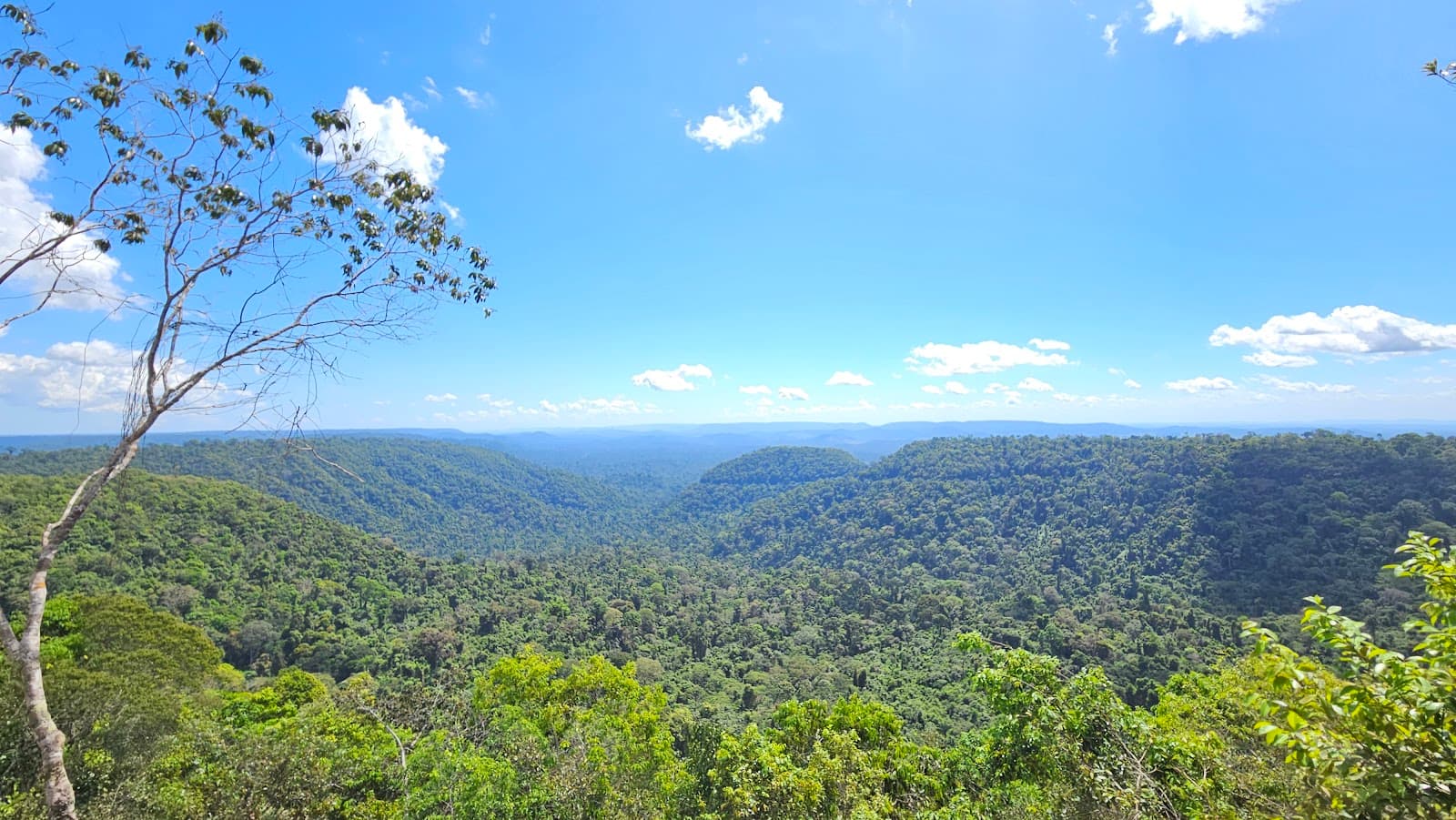 Carajás National Forest Parauapebas Brazil - Image 1