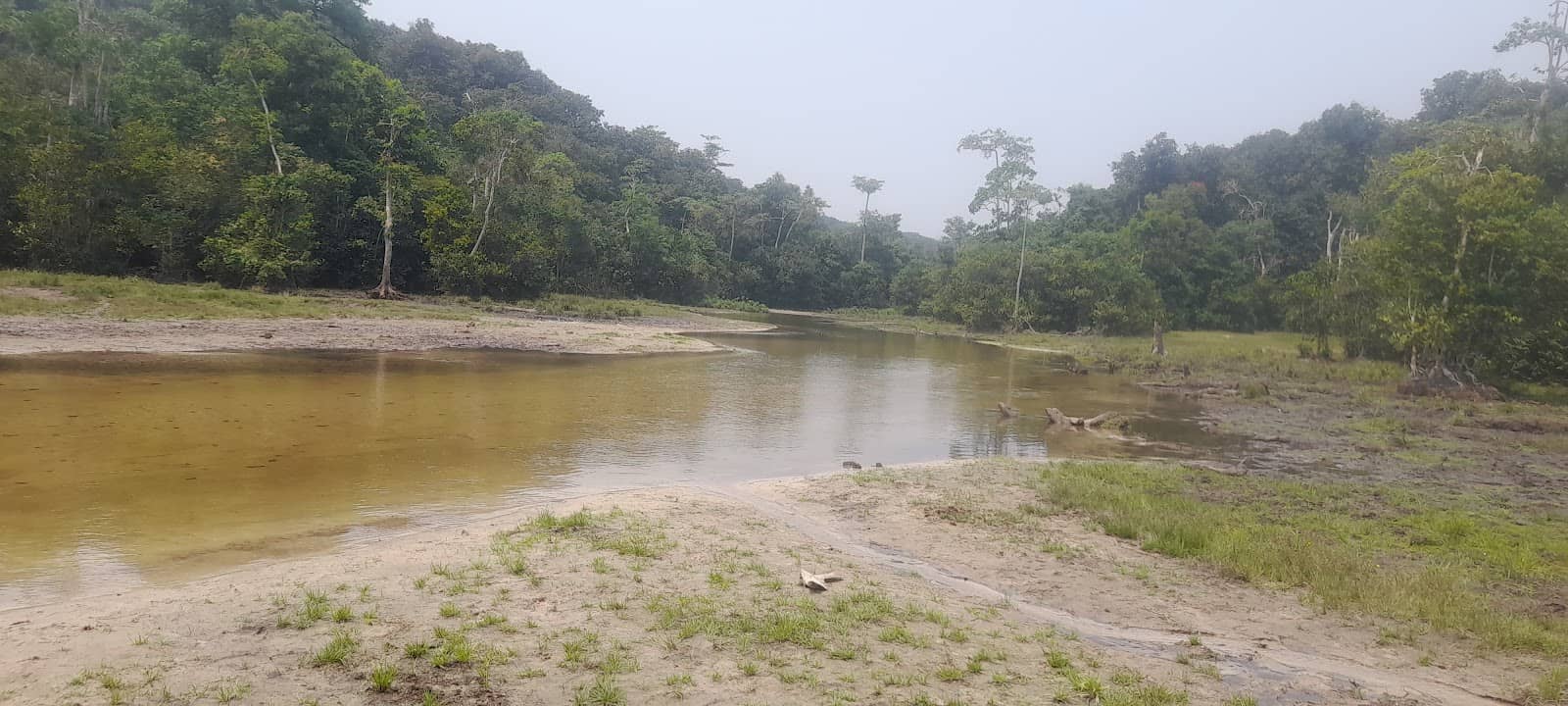 Bais (Forest Clearings)