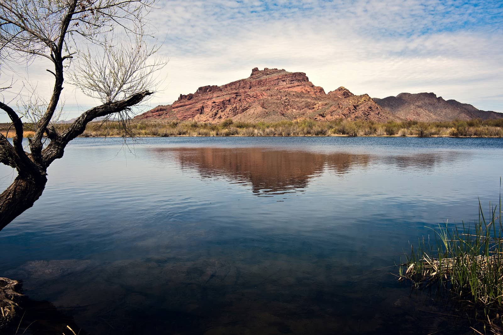 Wild Horse Sightings