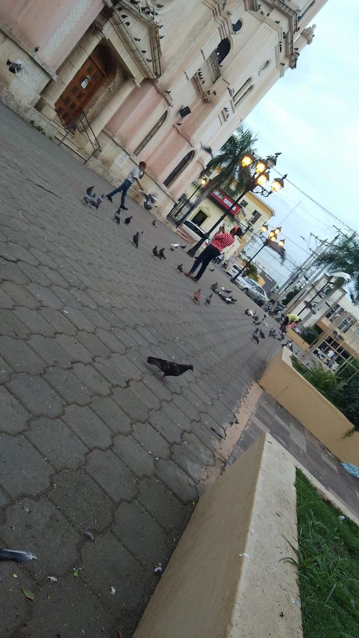 Bani Park Jaipur - Image 1