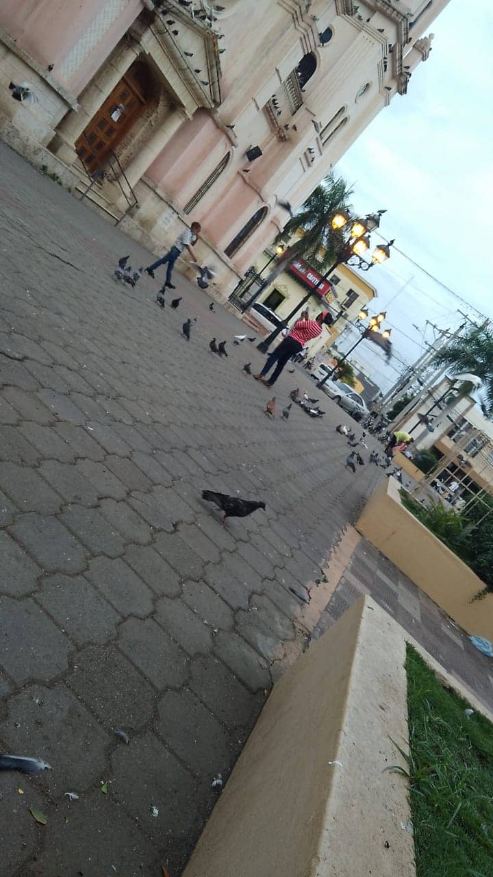 Royal Orchid Central