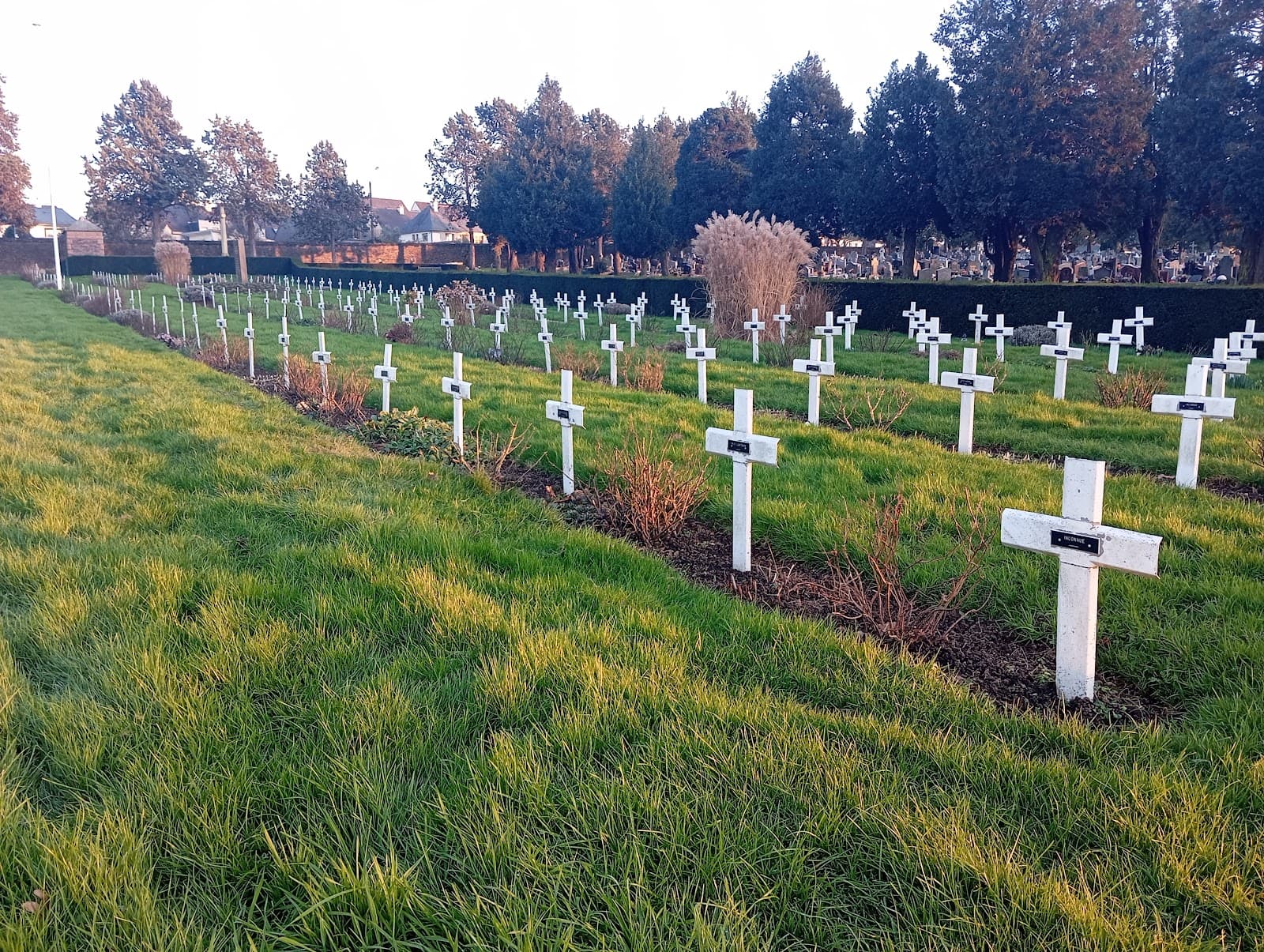 Cimetière de l'Est - Image 1