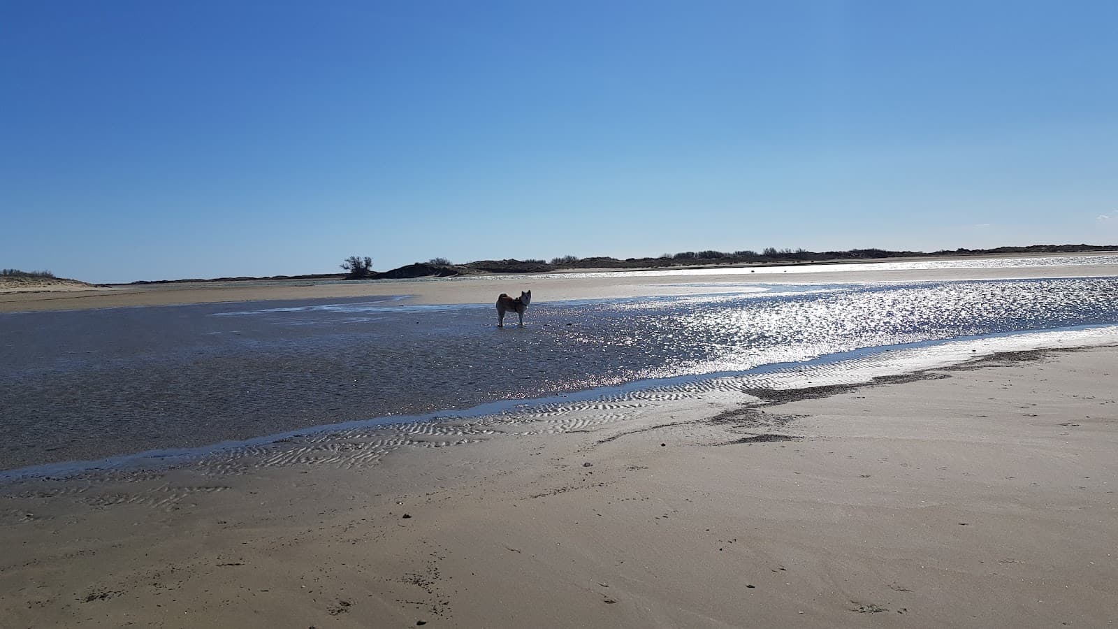 Plage de Beauduc - Image 1