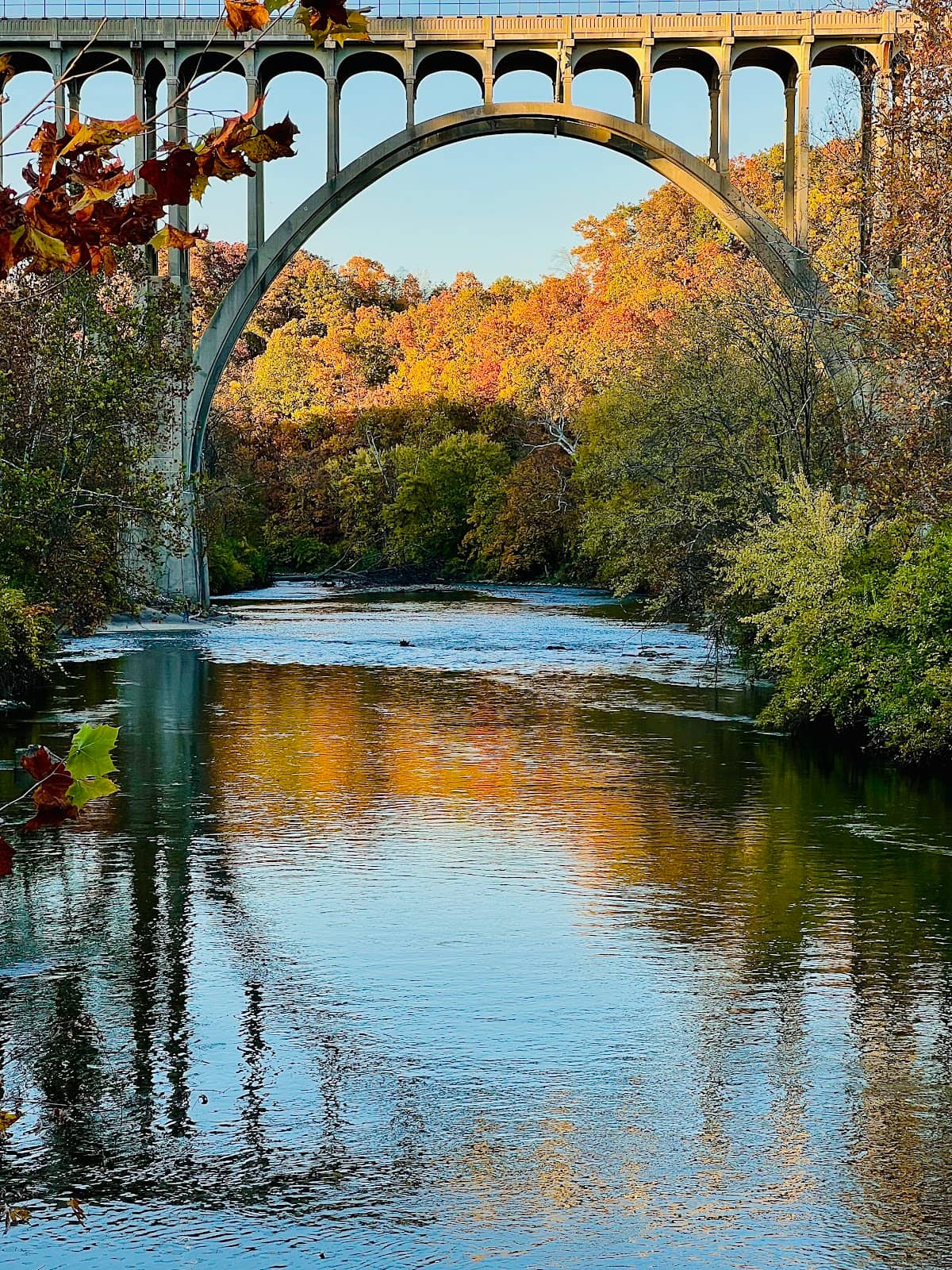 Brecksville Reservation Trails