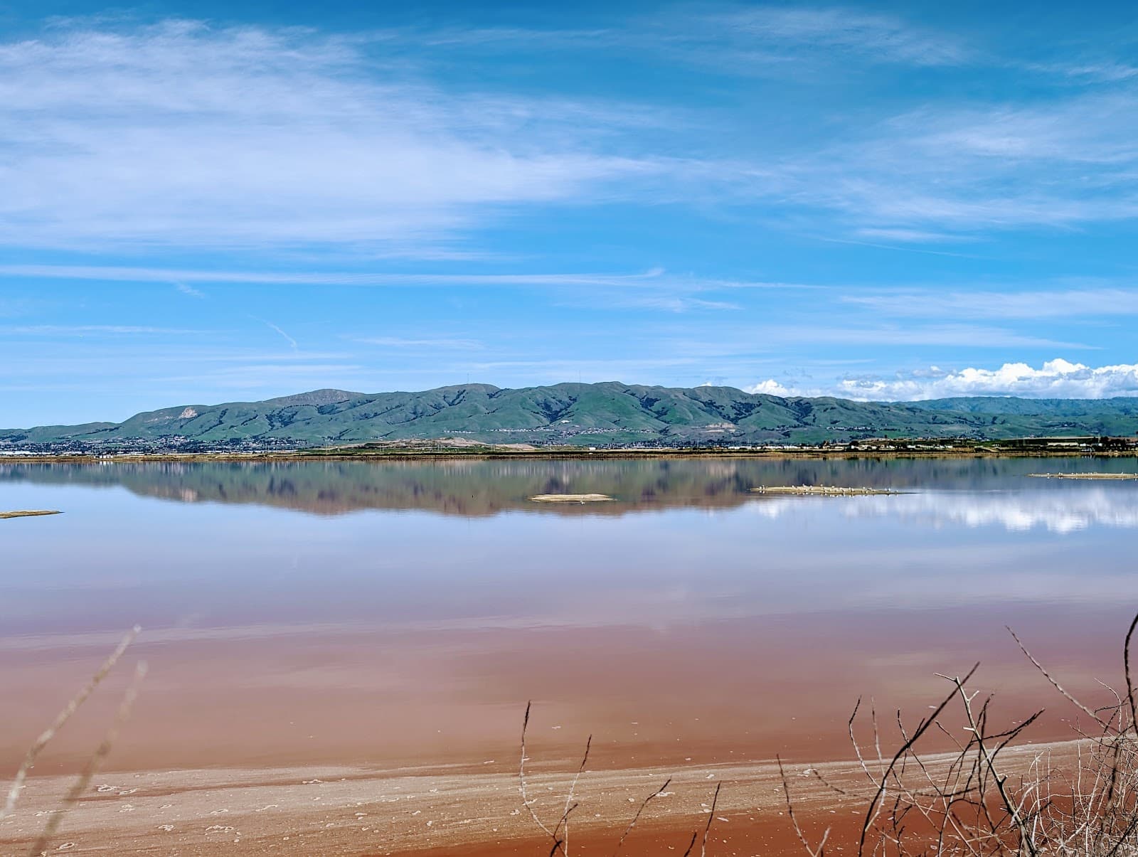 Don Edwards National Wildlife Refuge Alviso - Image 1