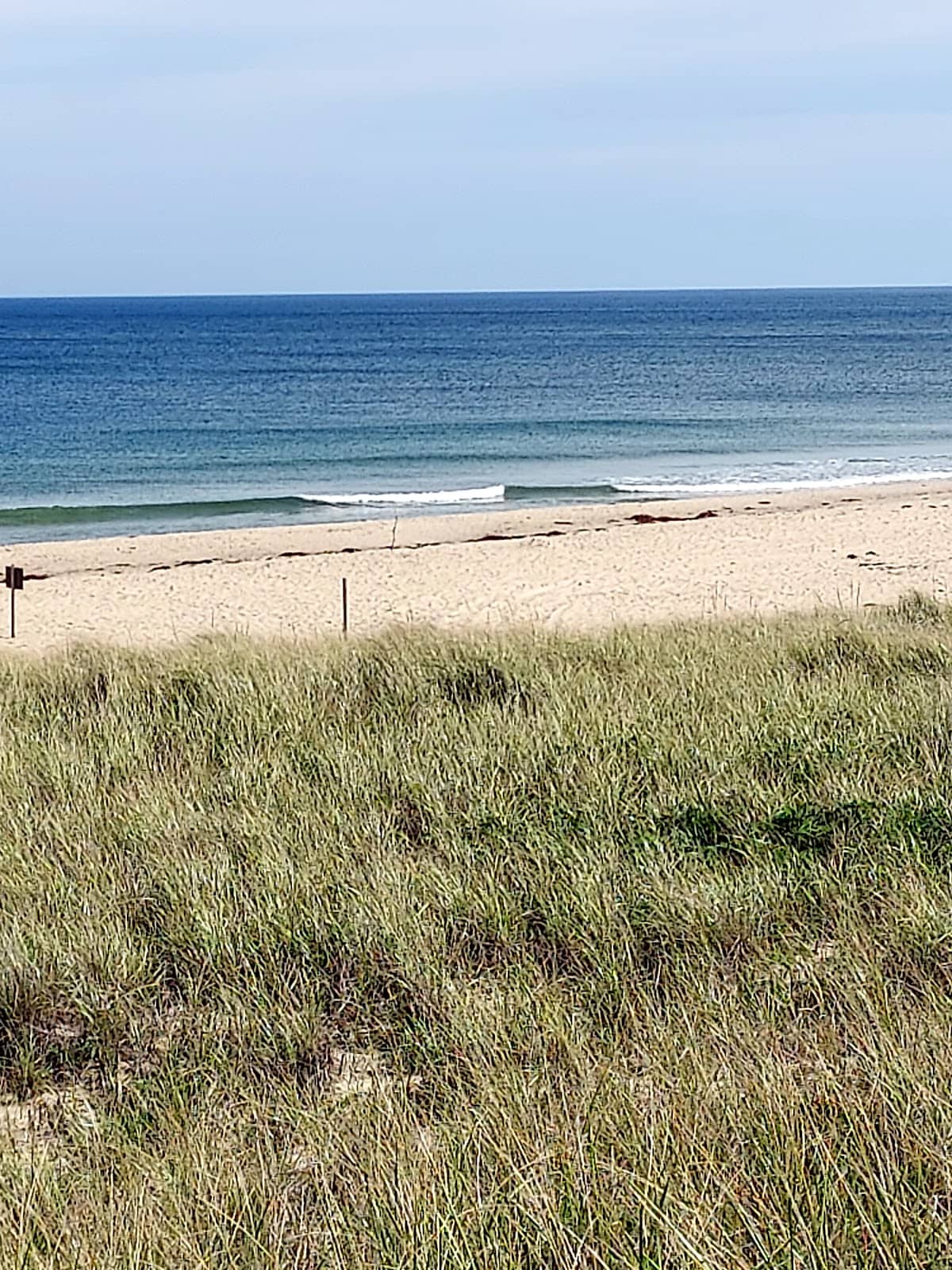 Dune Views
