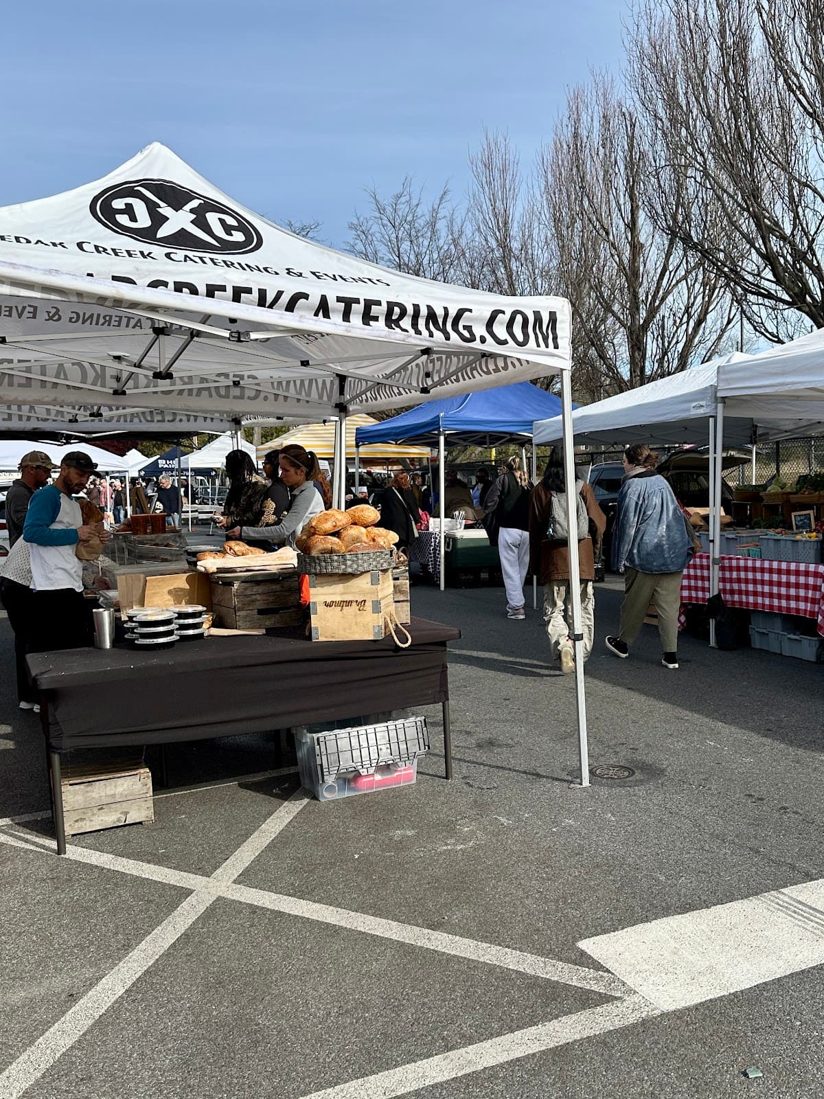 Media Farmers Market - Image 1