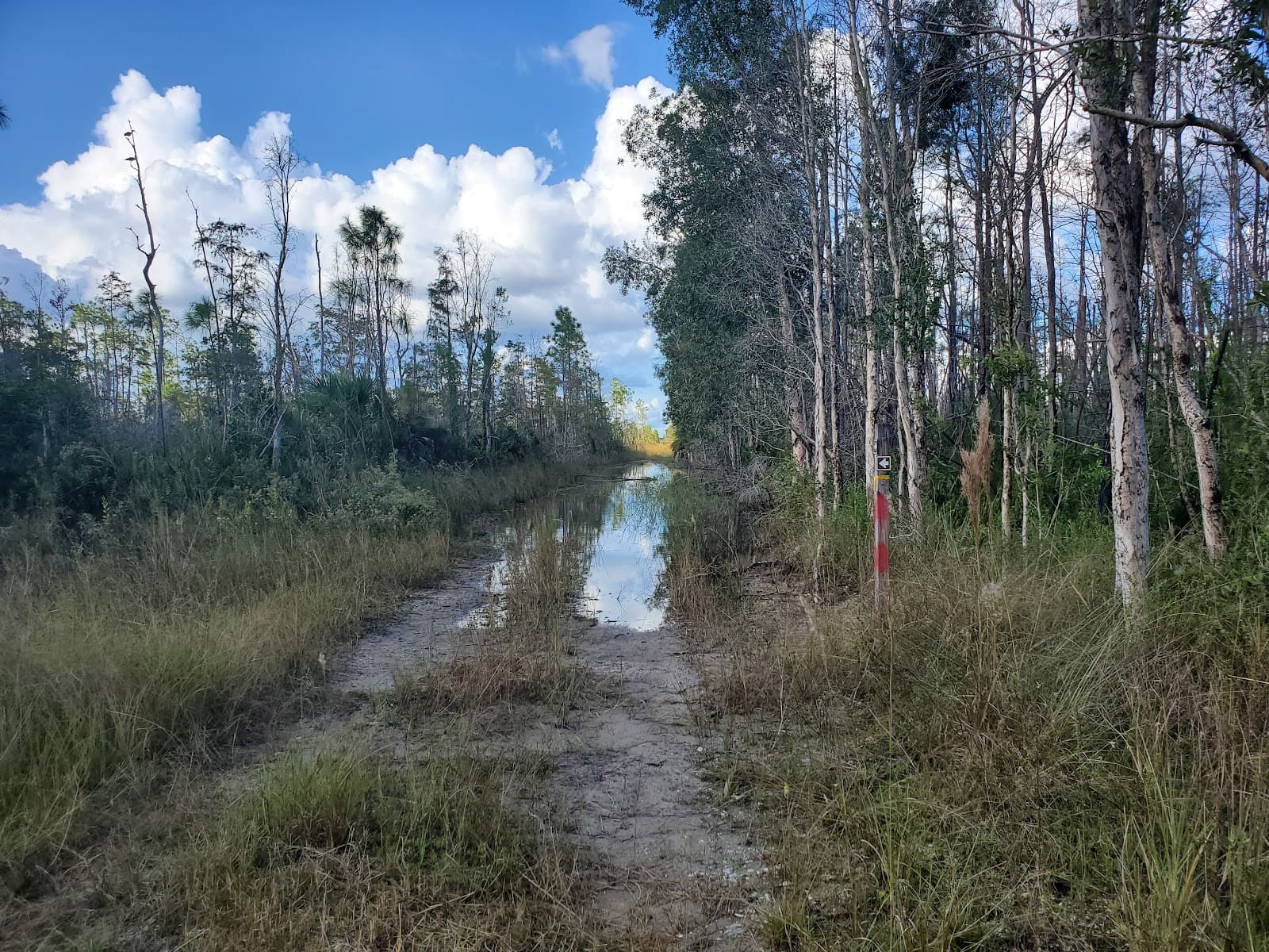 Sabal Palm Trail - Image 1
