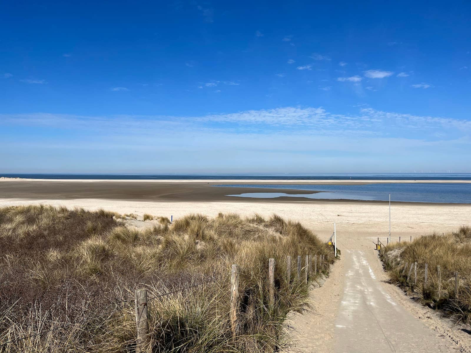 Dune Landscapes