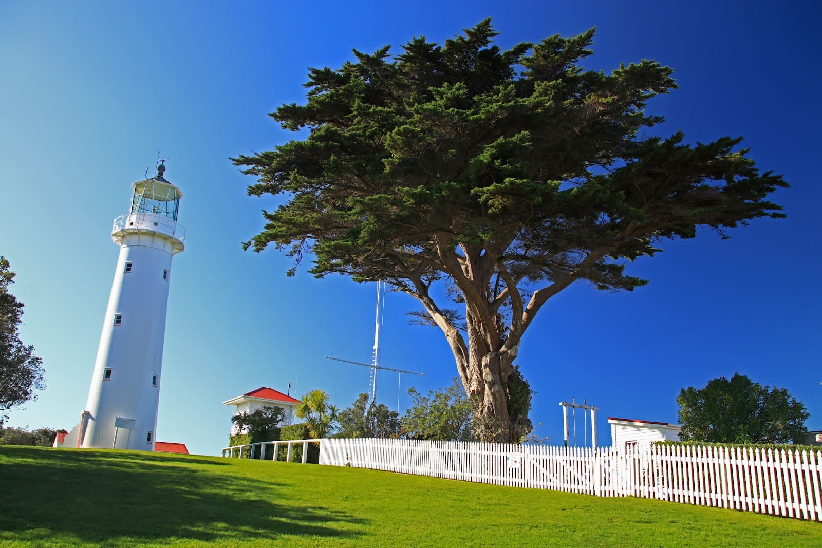 Tiritiri Matangi Island / Auckland Zoo - Image 1