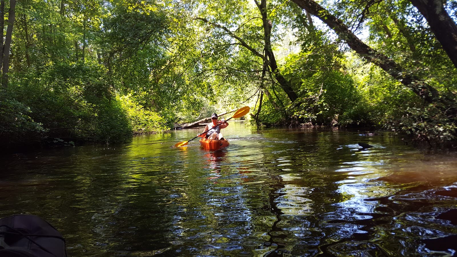 Forge Pond - Image 1