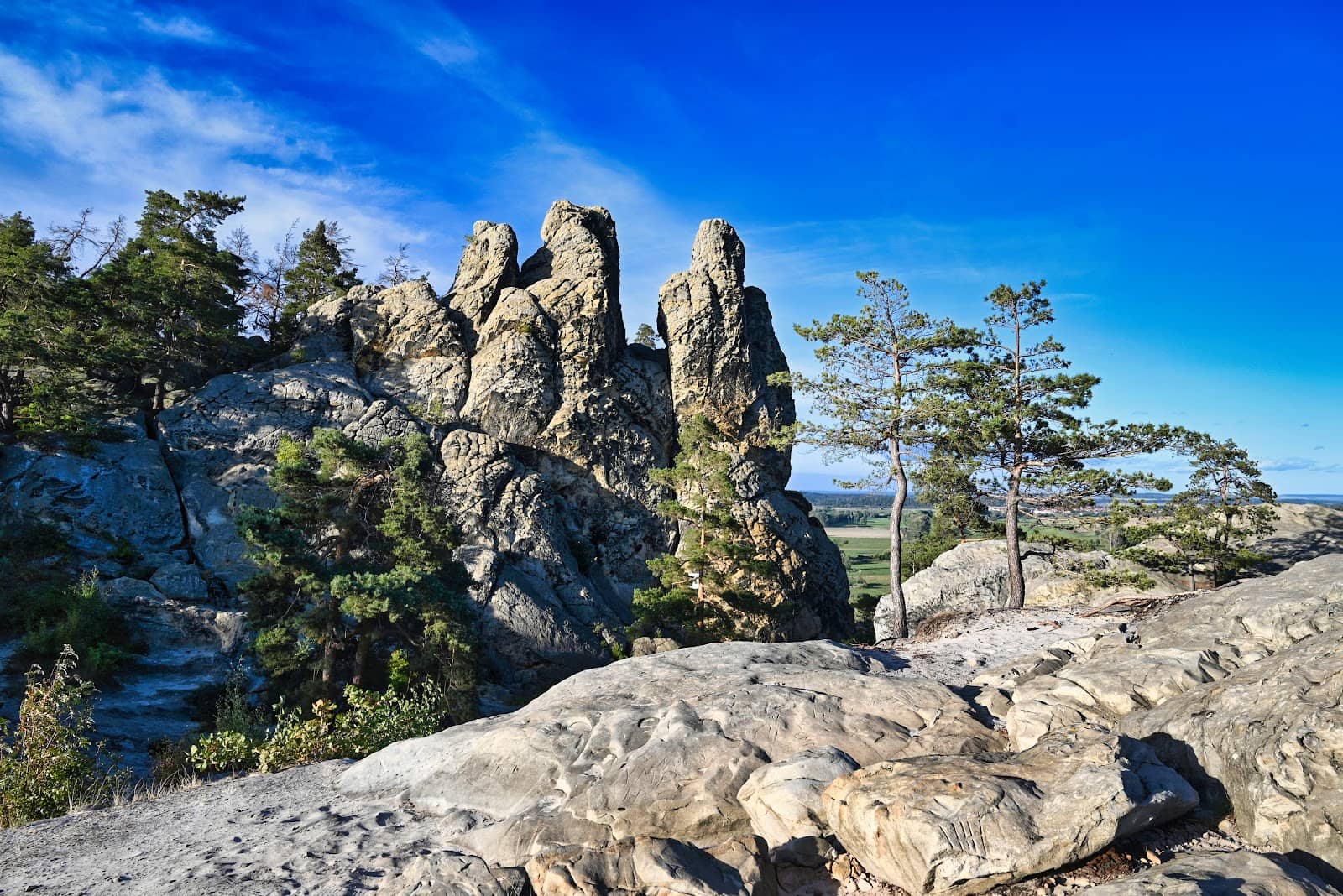 Woodland and Grassland Paths