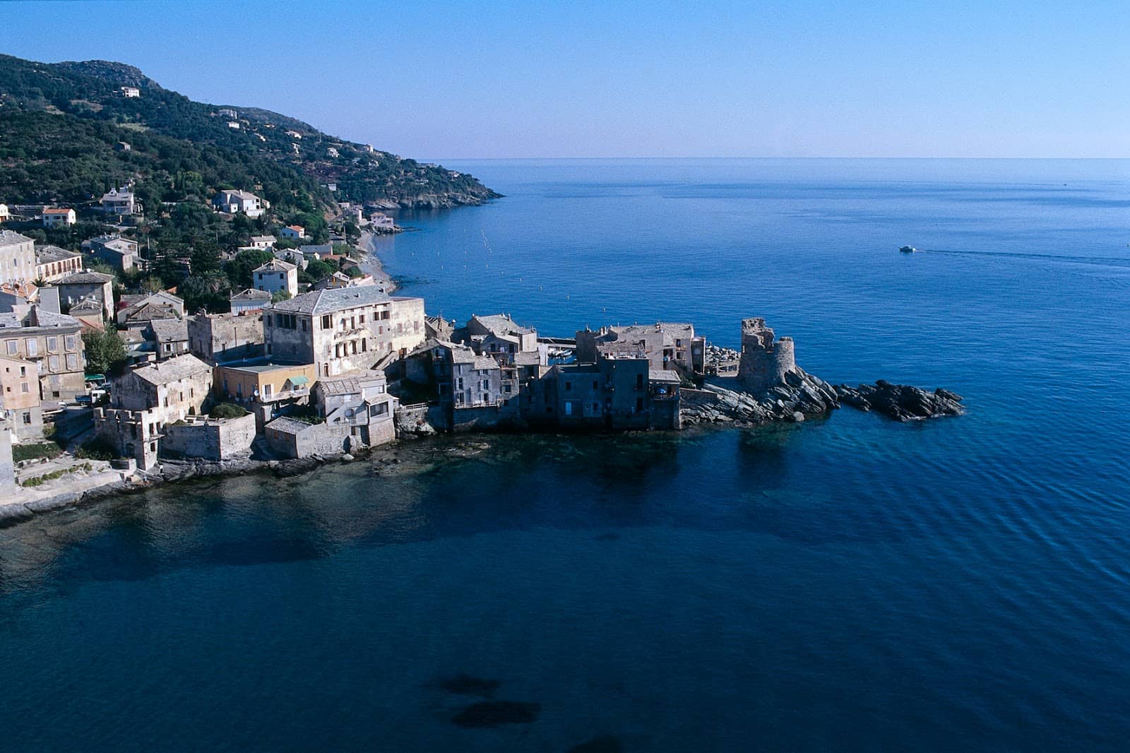 Pino's Coastal Vistas