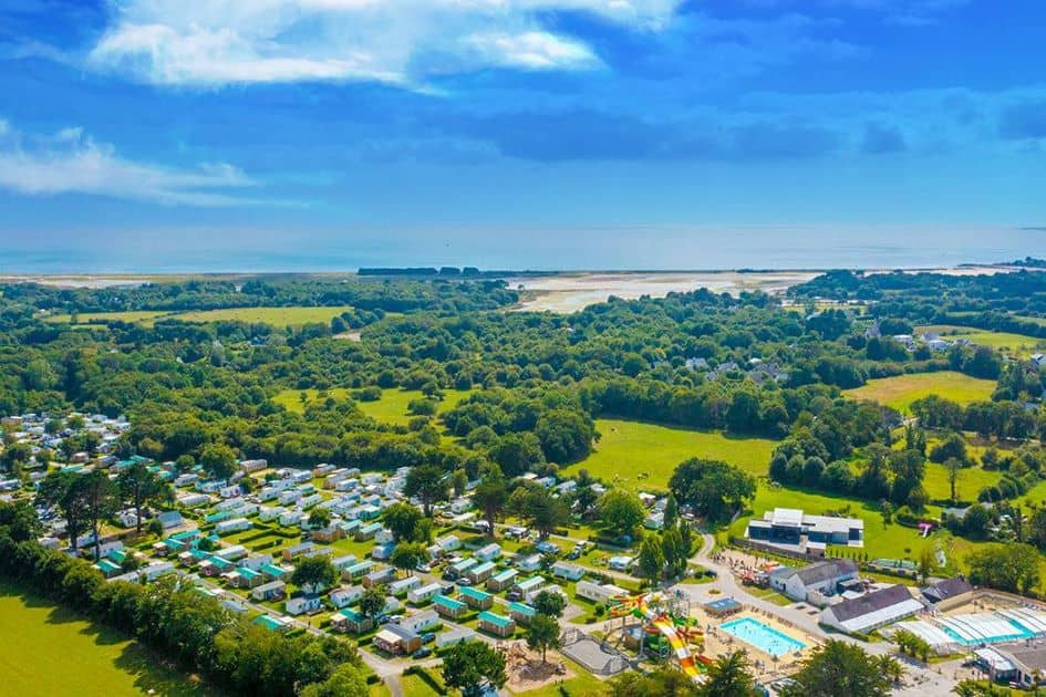 Local Seafood Delights