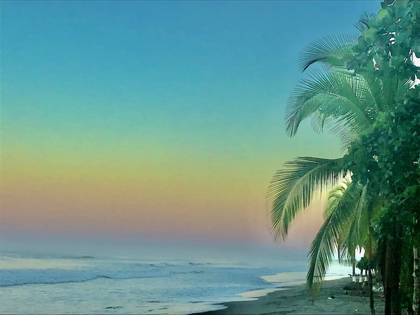 Panama's Festive Spirit