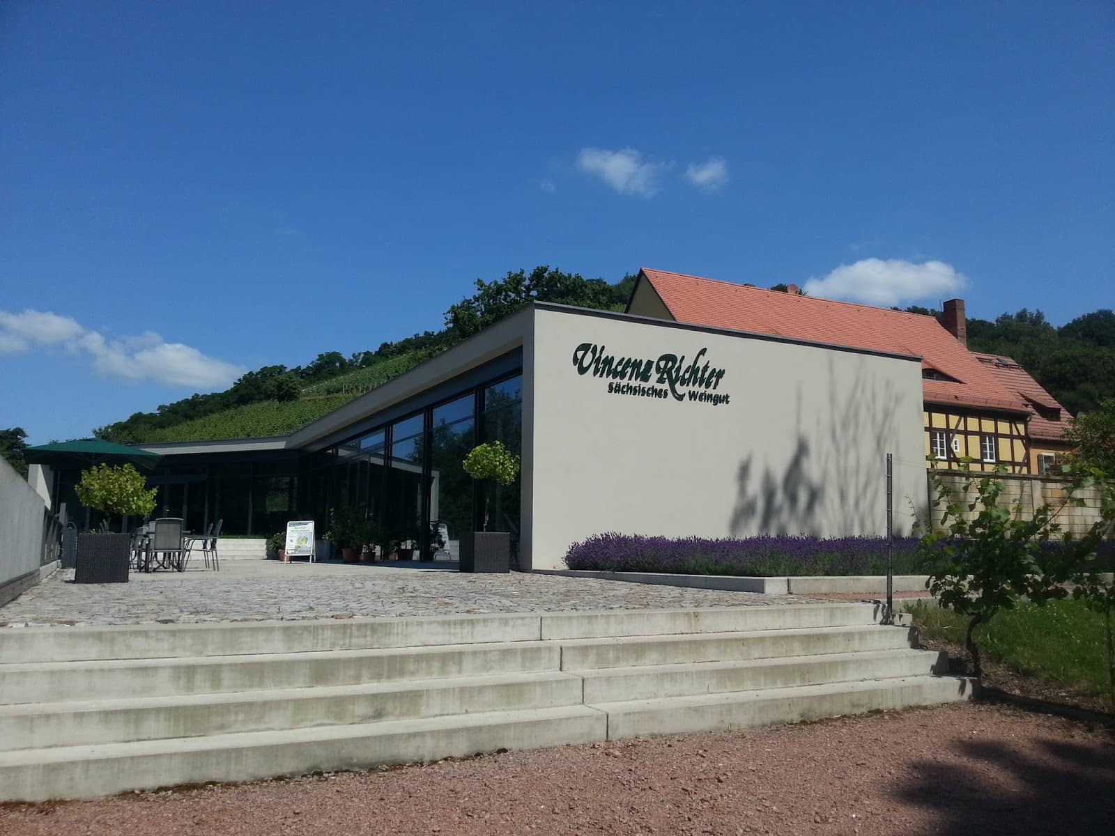 Winery Open Day Events