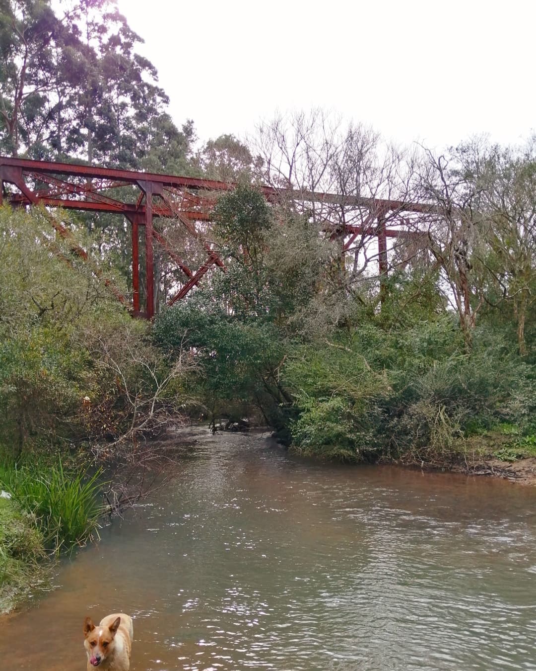 Pueblo Garzón Uruguay - Image 1