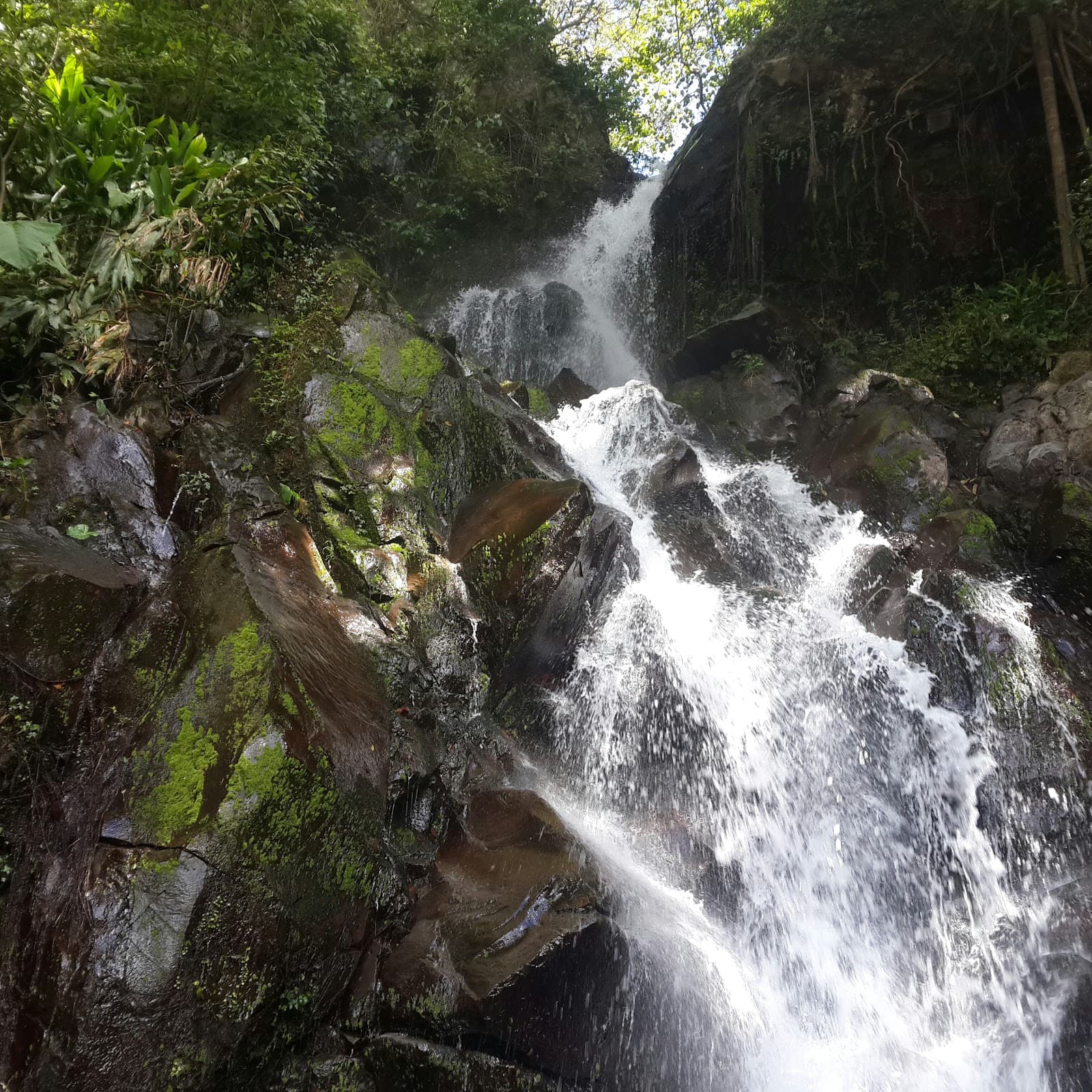 Bajo Mono Valley - Image 1