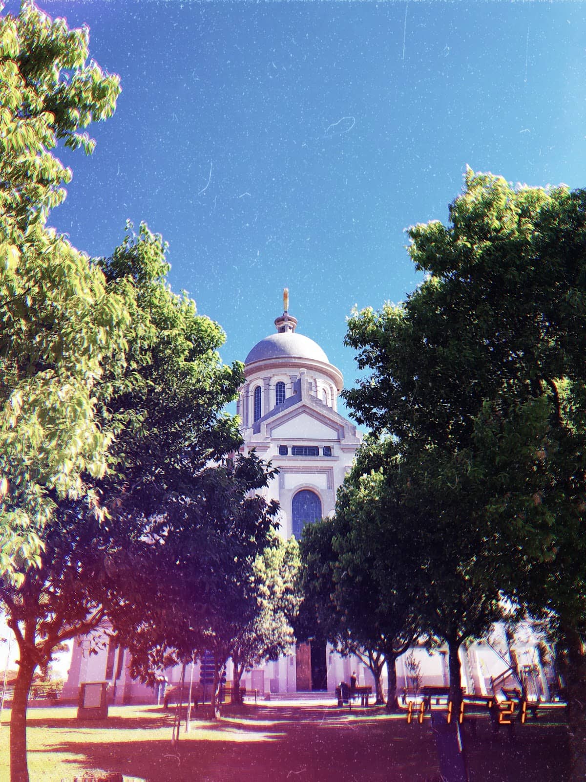 Vertical photo