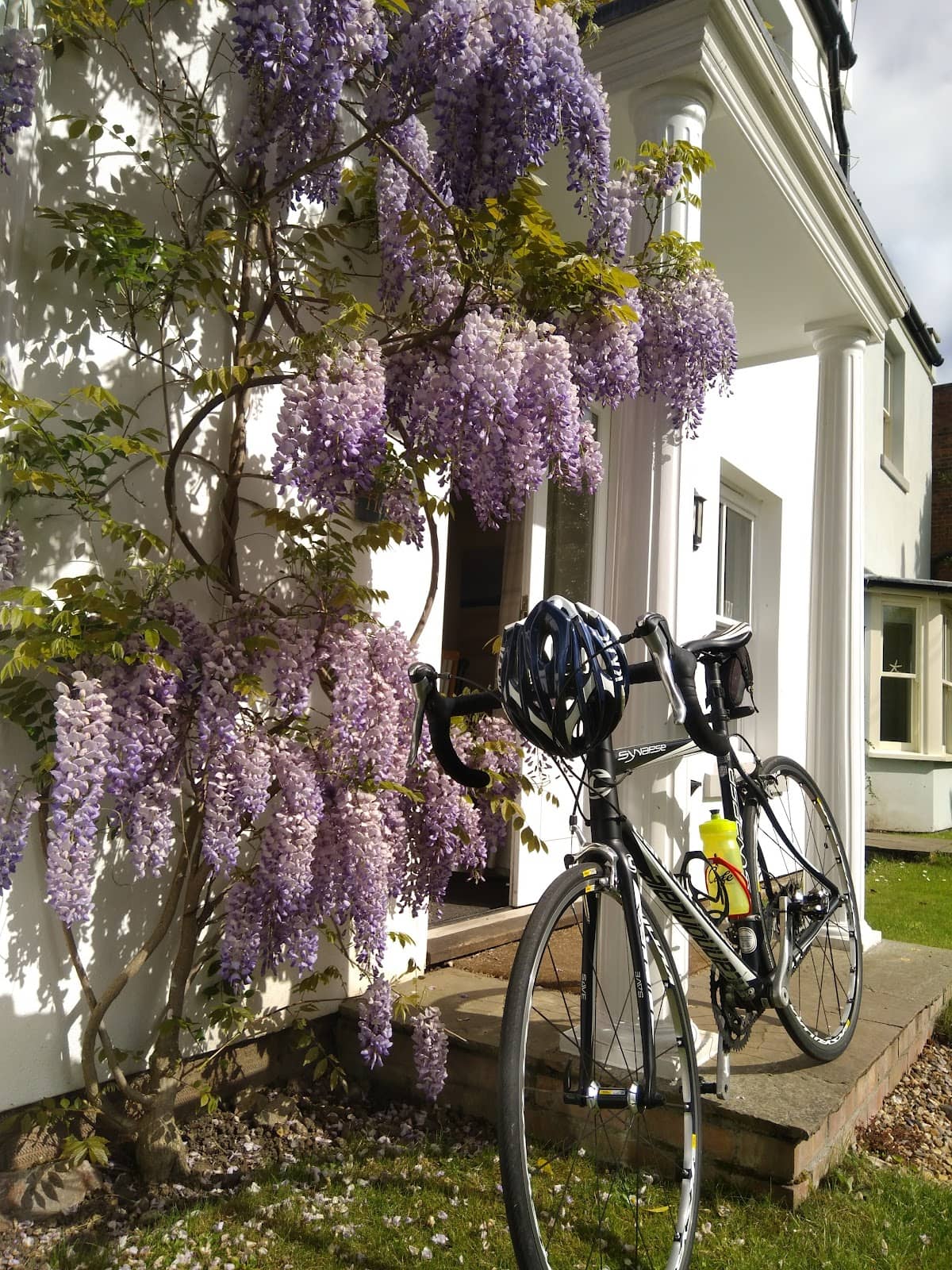 Local Holiday Cottages