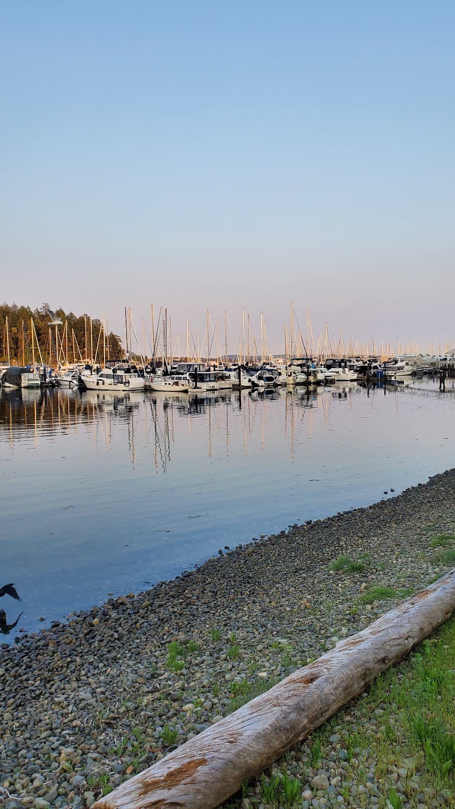 Harbourfront Walkway - Image 1