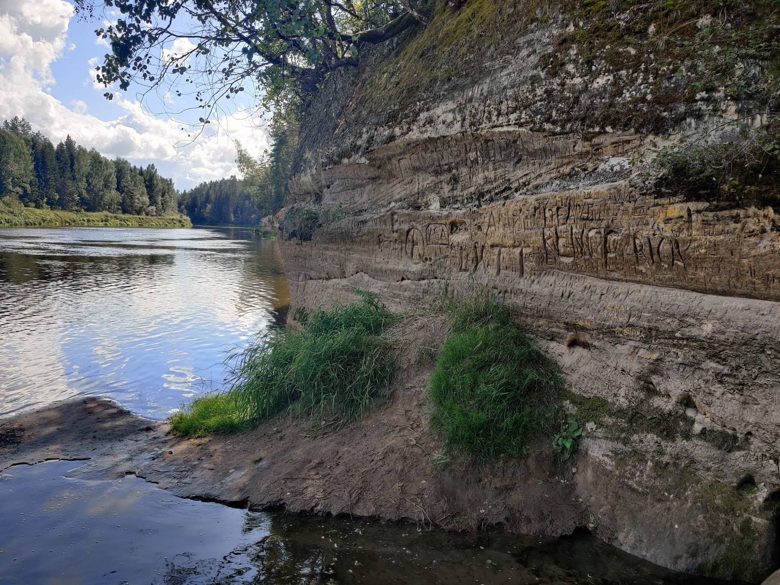 Vertical photo