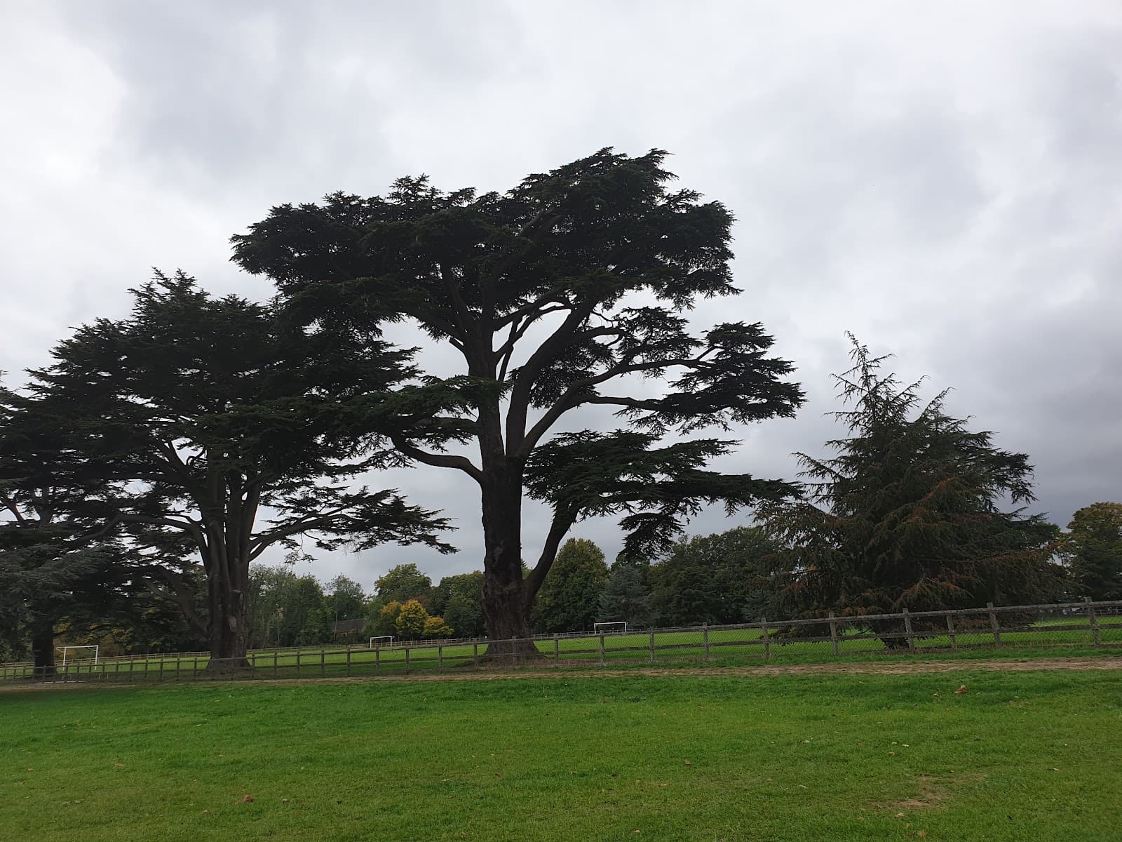 Hardwick Heath - Image 1