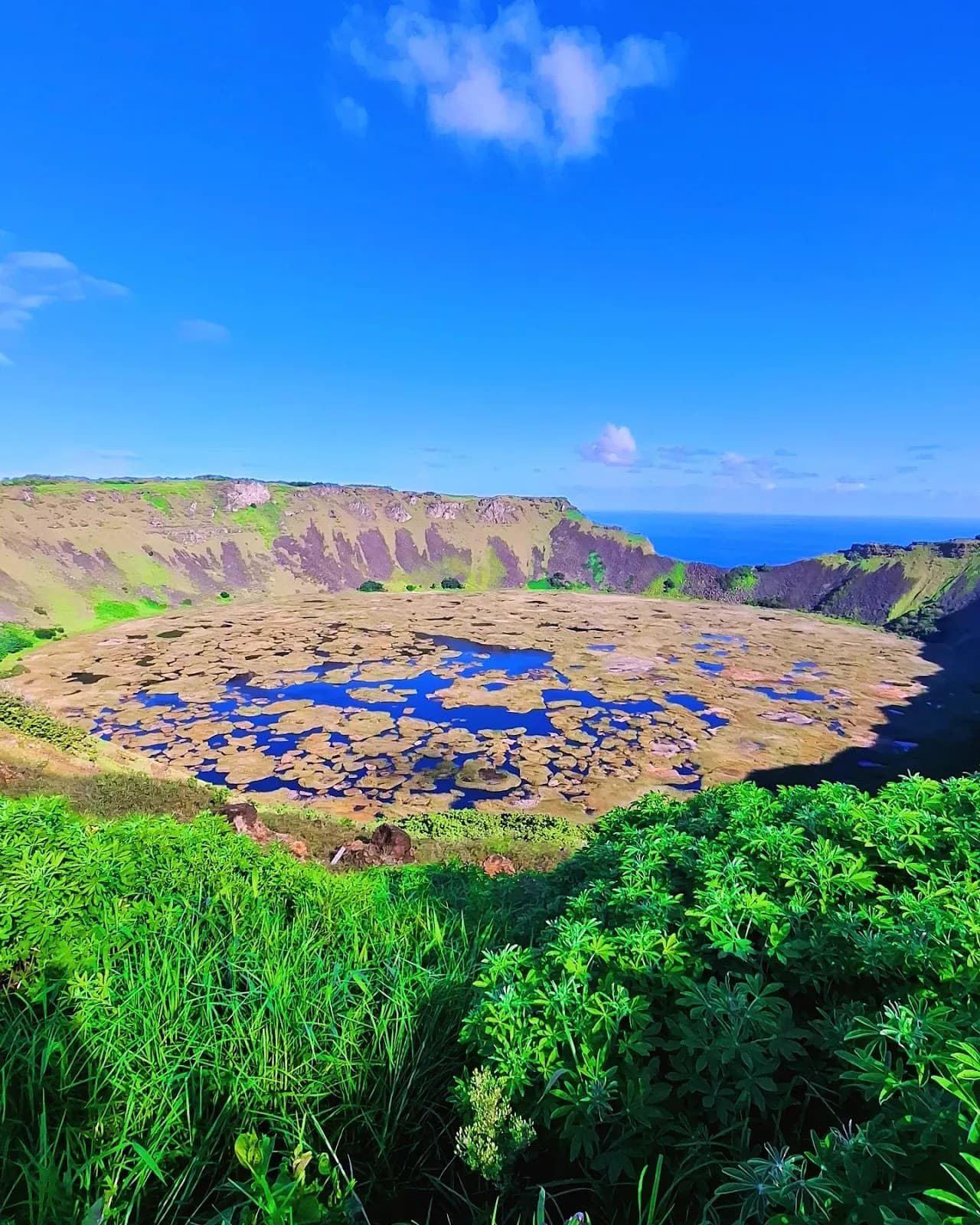 Rano Aroi Crater Easter Island - Image 1