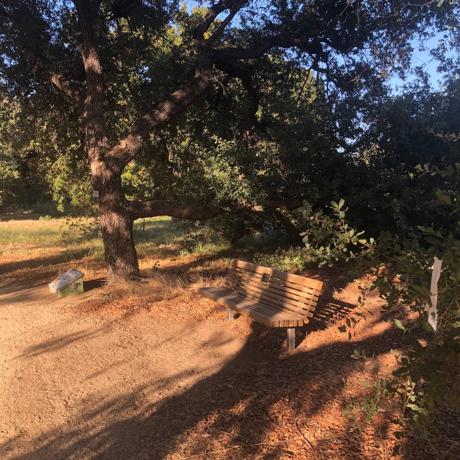 Picnic Paradise