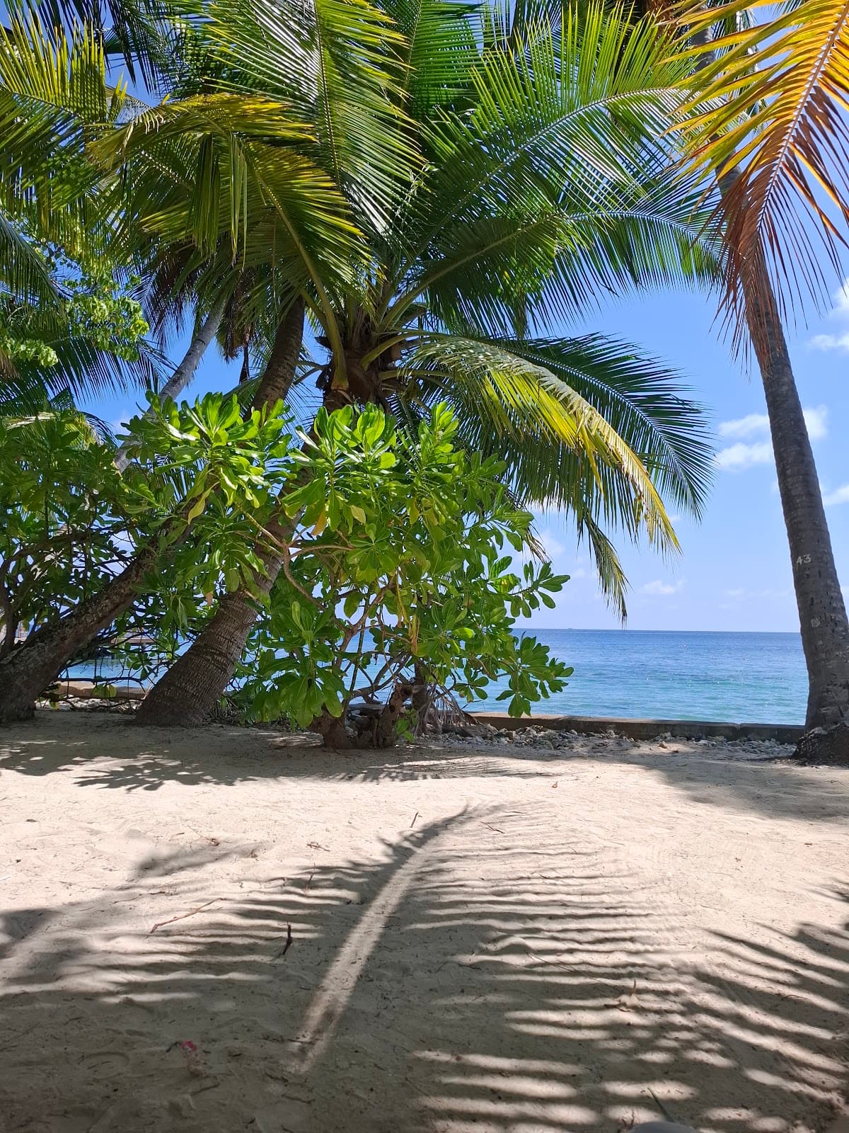 RAF Gan Airbase Ruins Addu - Image 1