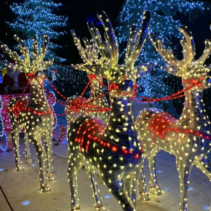 Spiaggia del Gaggetto - Image 1