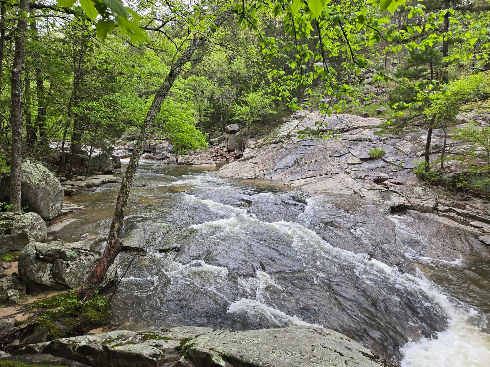Hawn State Park - Image 1