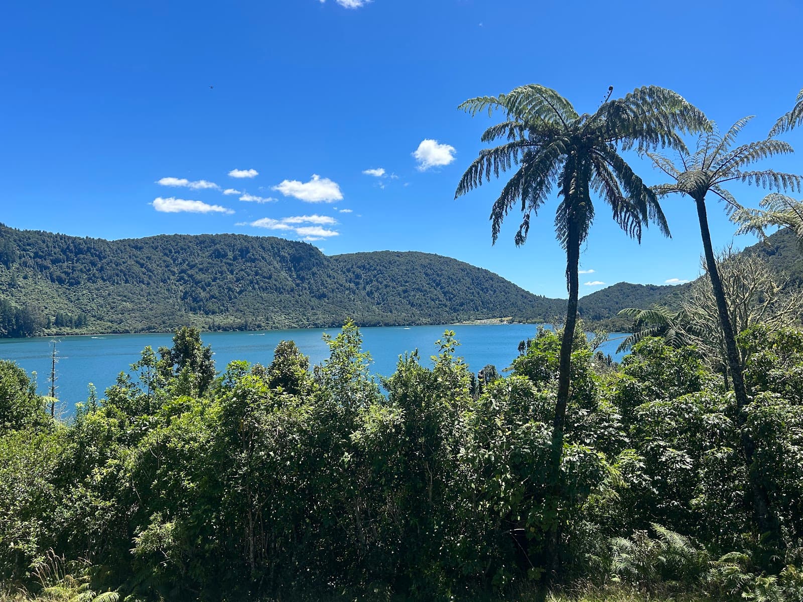 Blue Lake Lookout Green Lake View - Image 1
