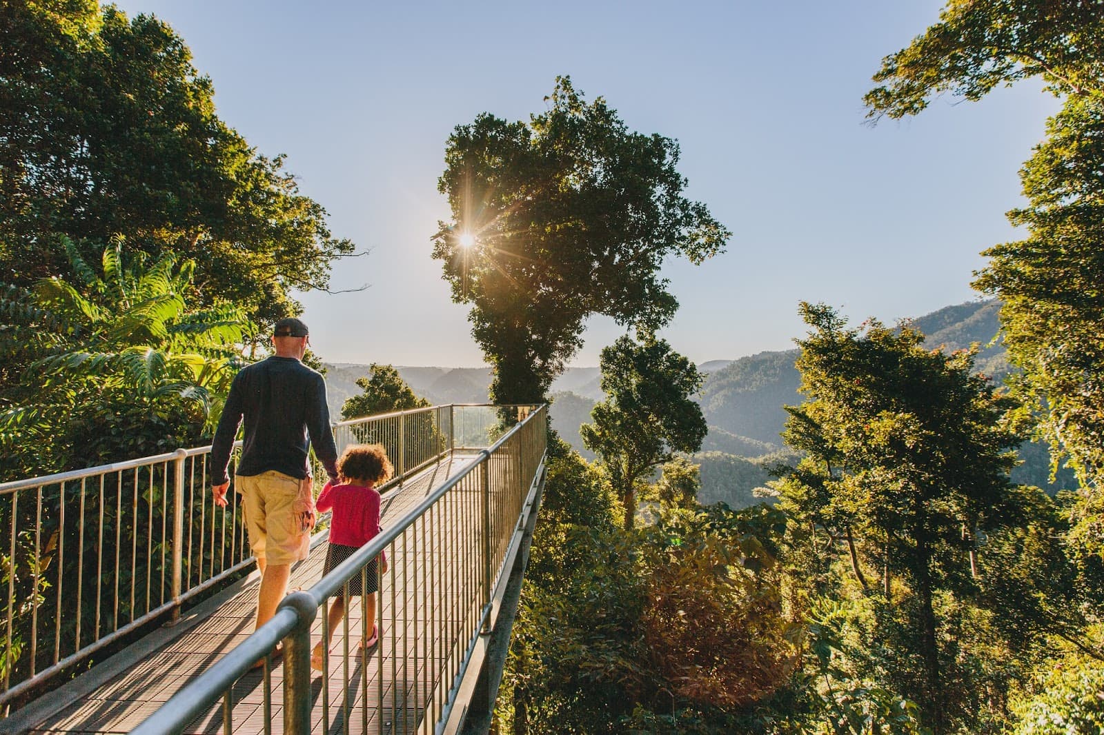 Mamu Tropical Skywalk - Image 1