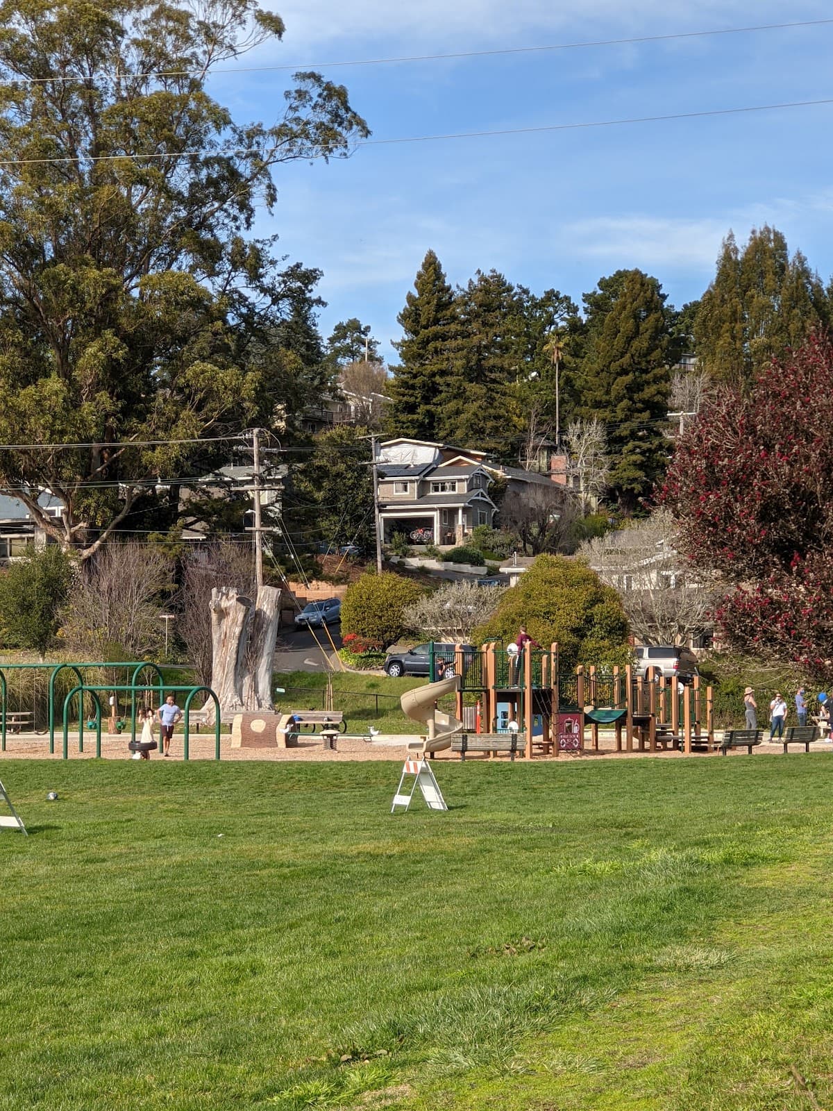 Hauke Park - Image 1