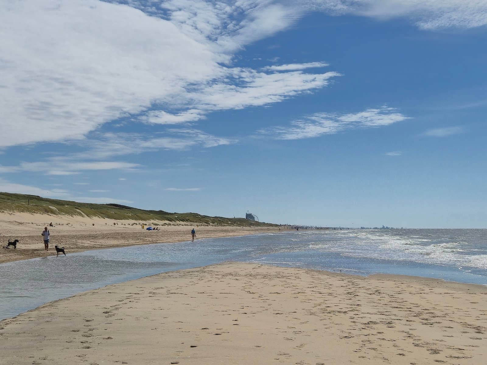 Accessible Beach Paths
