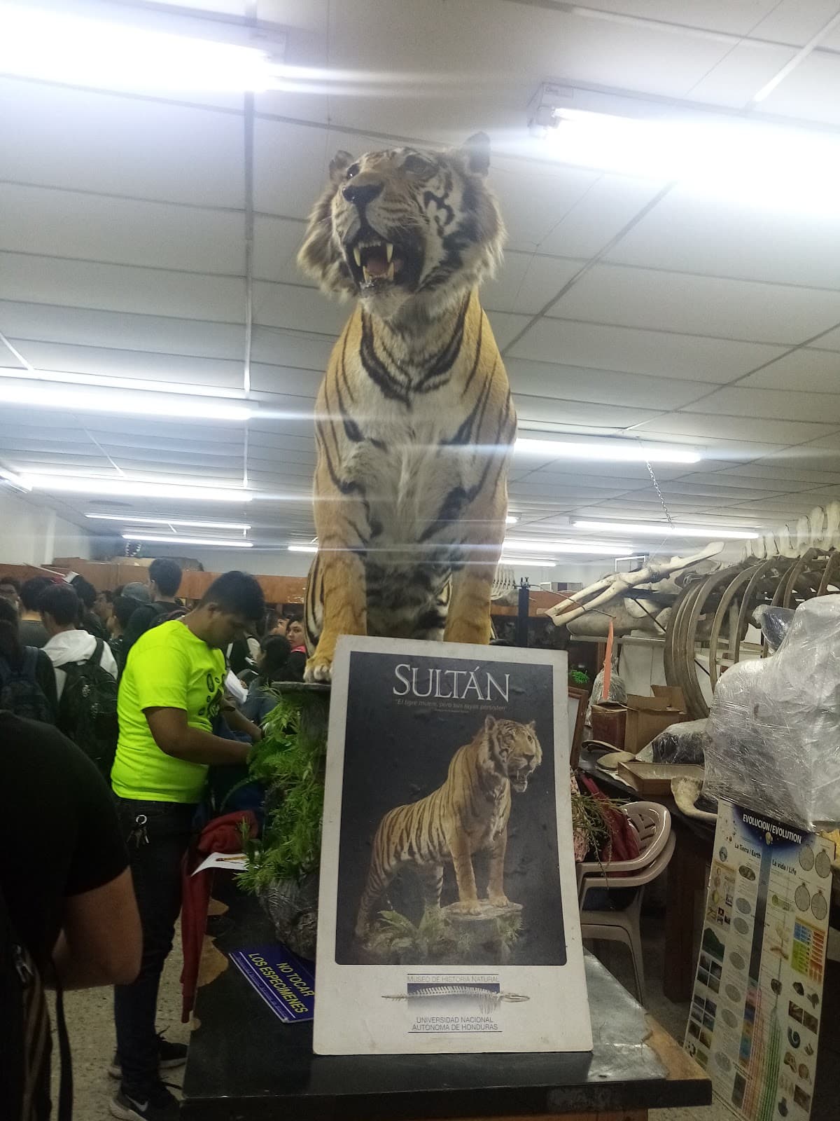 Museo Universitario UNAH - Image 1