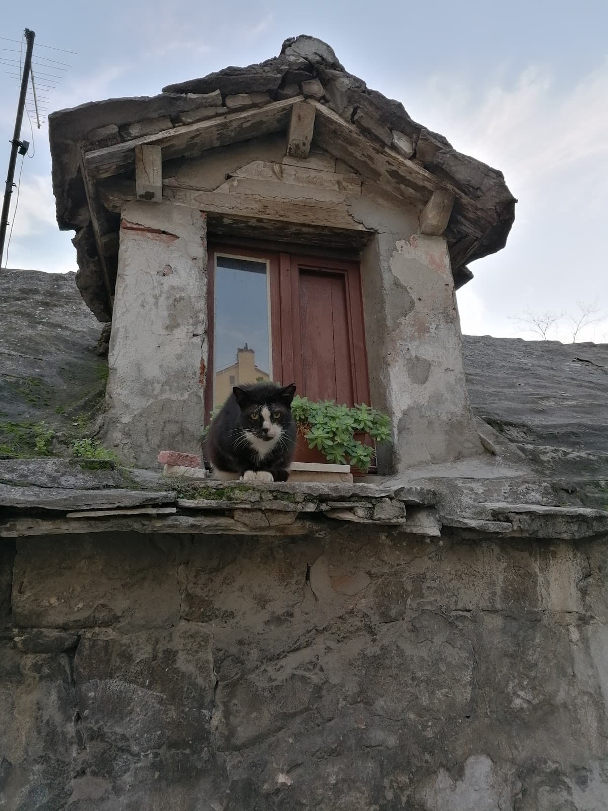 Manuš - Image 1