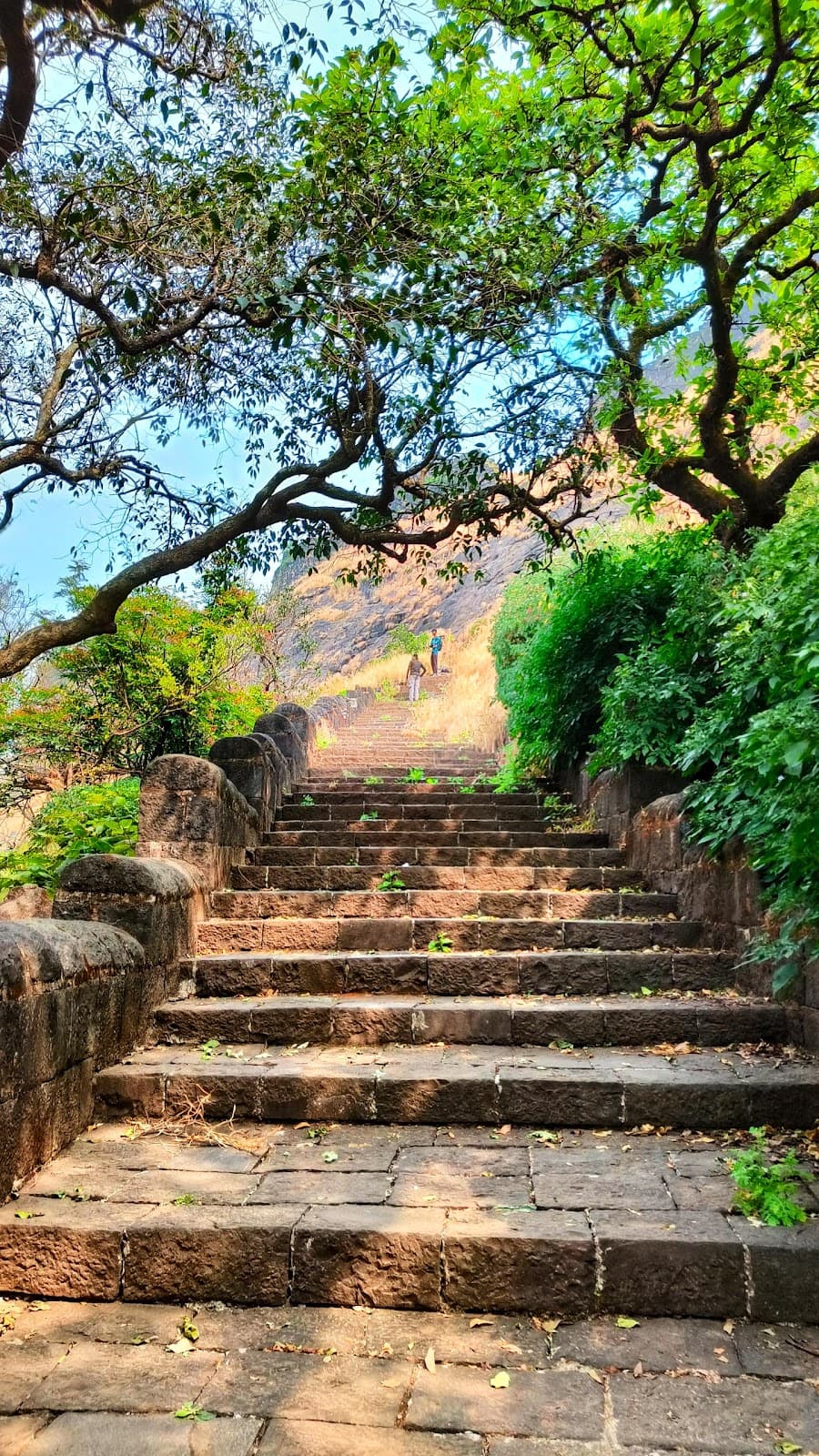 Rajmachi Forts (Shrivardhan & Manaranjan) - Image 1