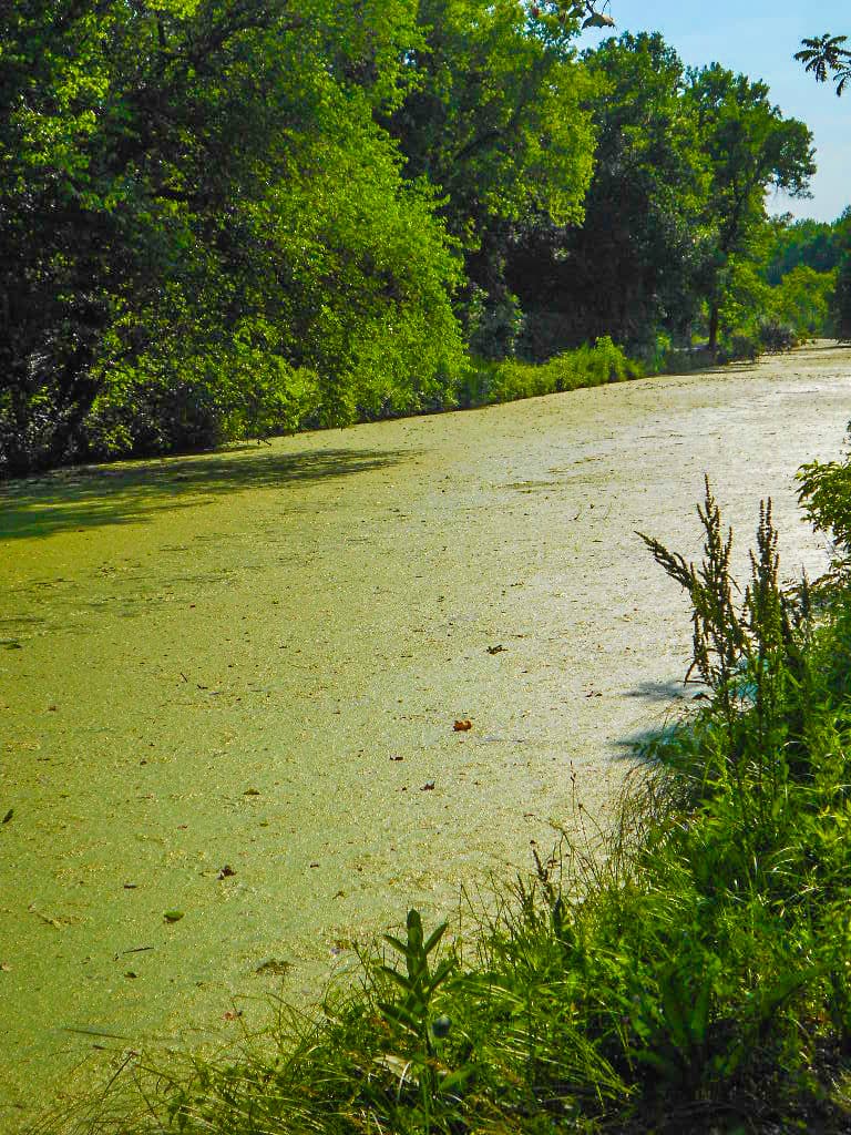 Gebhard Woods State Park - Image 1