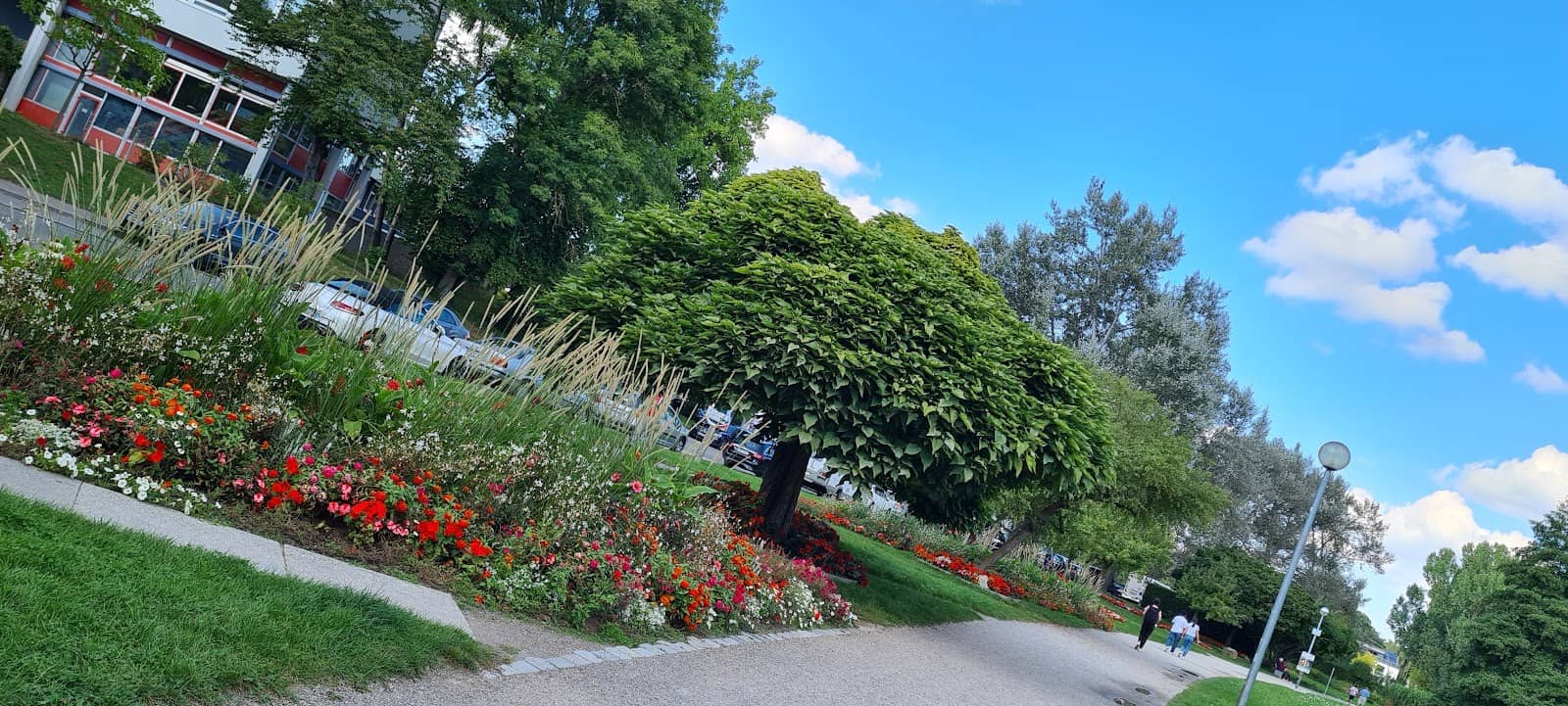 Playgrounds and Recreation